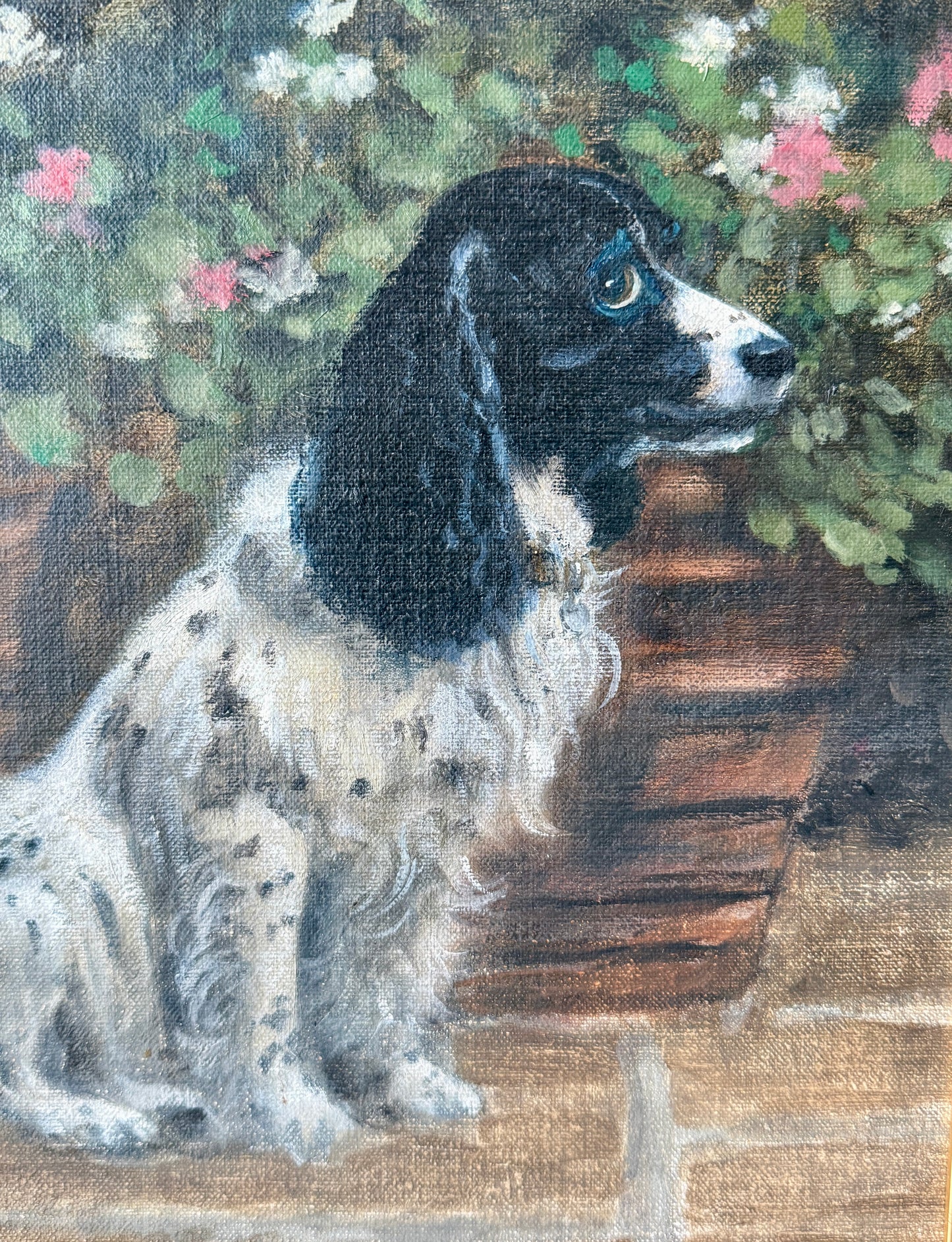 Springer Spaniel in the Garden Oil Painting Dog Portrait in Wood and Gilded Frame