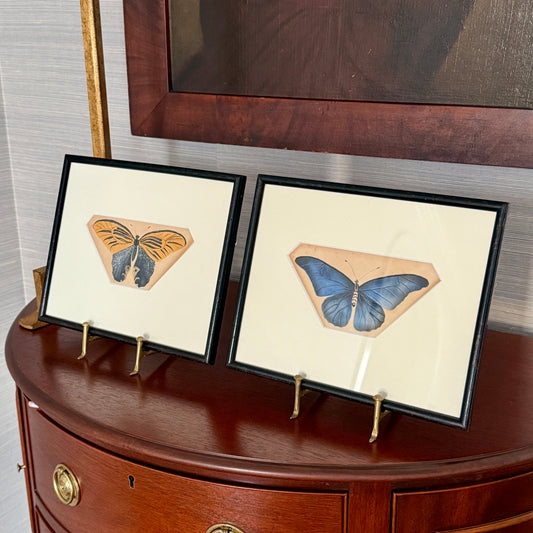 Pair of 19th Century Intricate Watercolor Butterfly Portraits in Black Frames