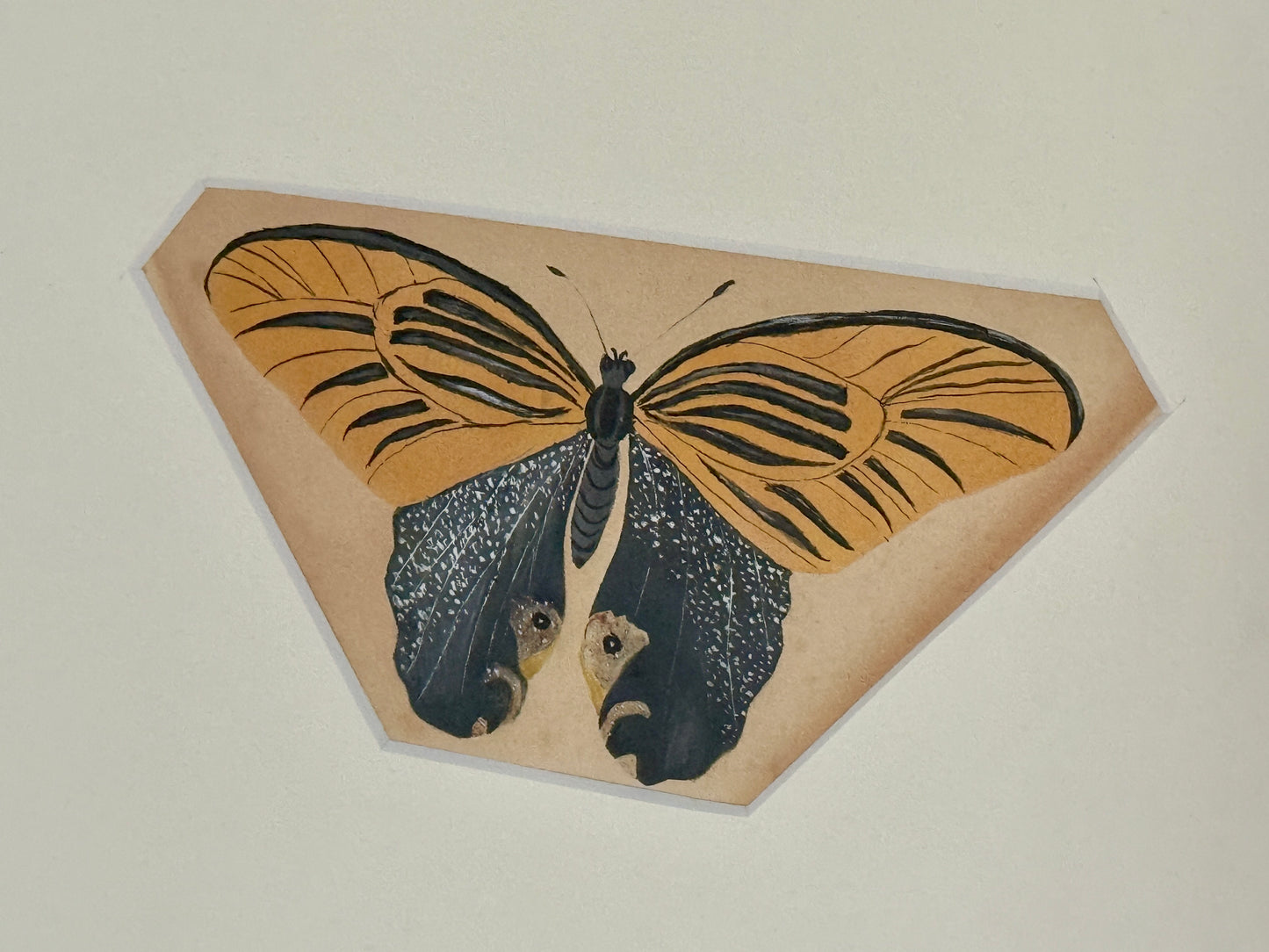 Pair of 19th Century Intricate Watercolor Butterfly Portraits in Black Frames