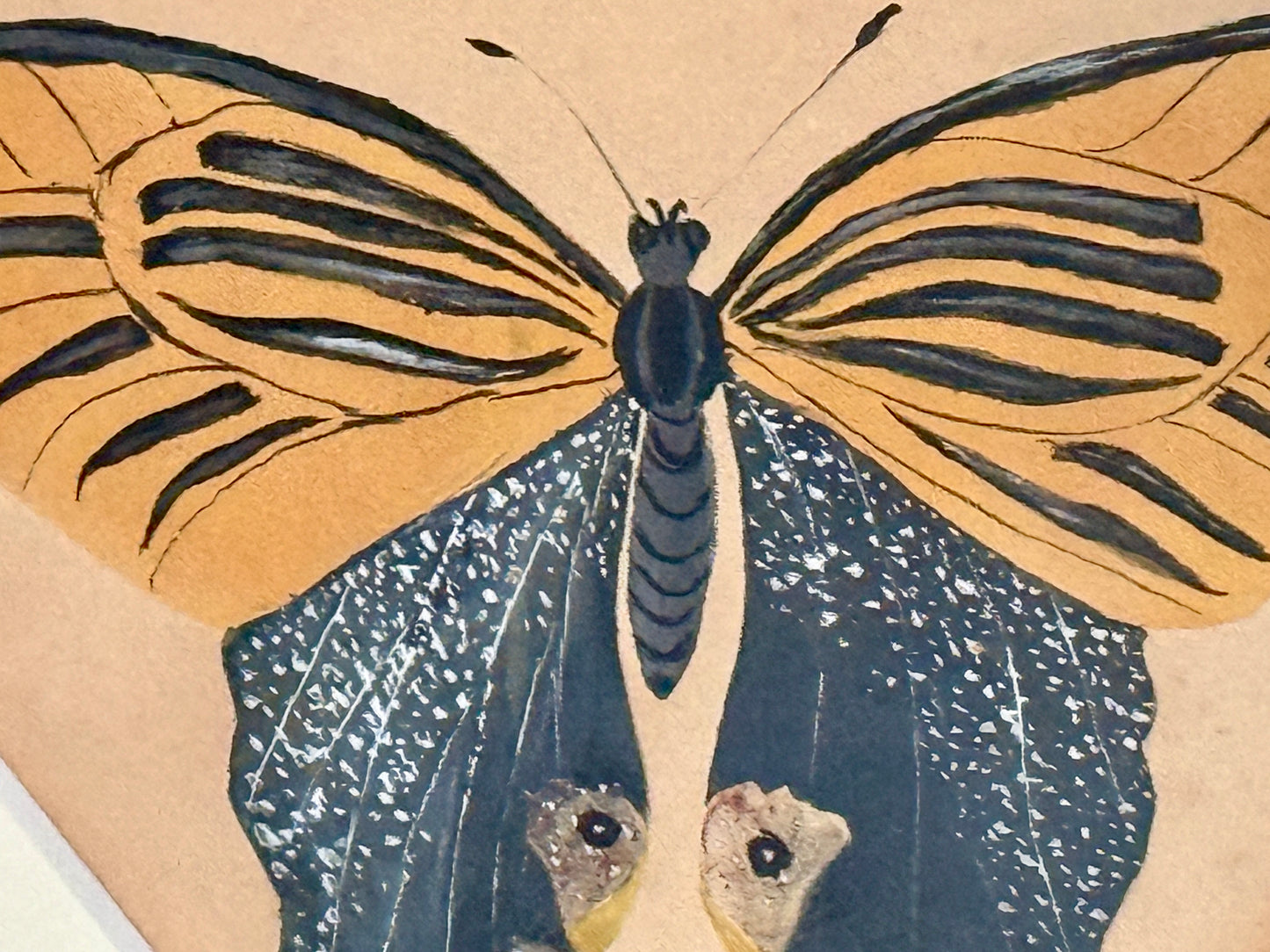 Pair of 19th Century Intricate Watercolor Butterfly Portraits in Black Frames