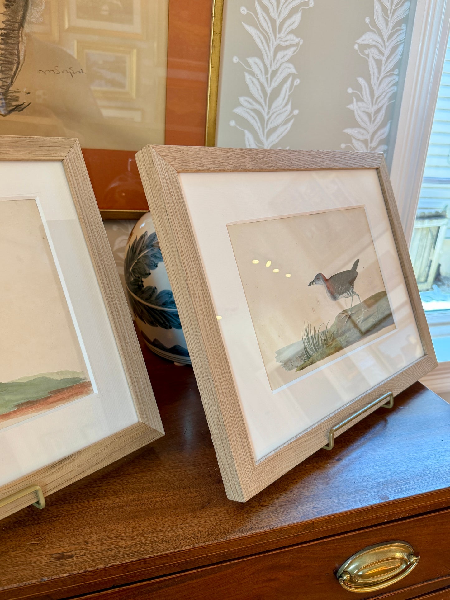 19th Century Shore Bird Watercolor Bird Portrait in Natural Wood Frame