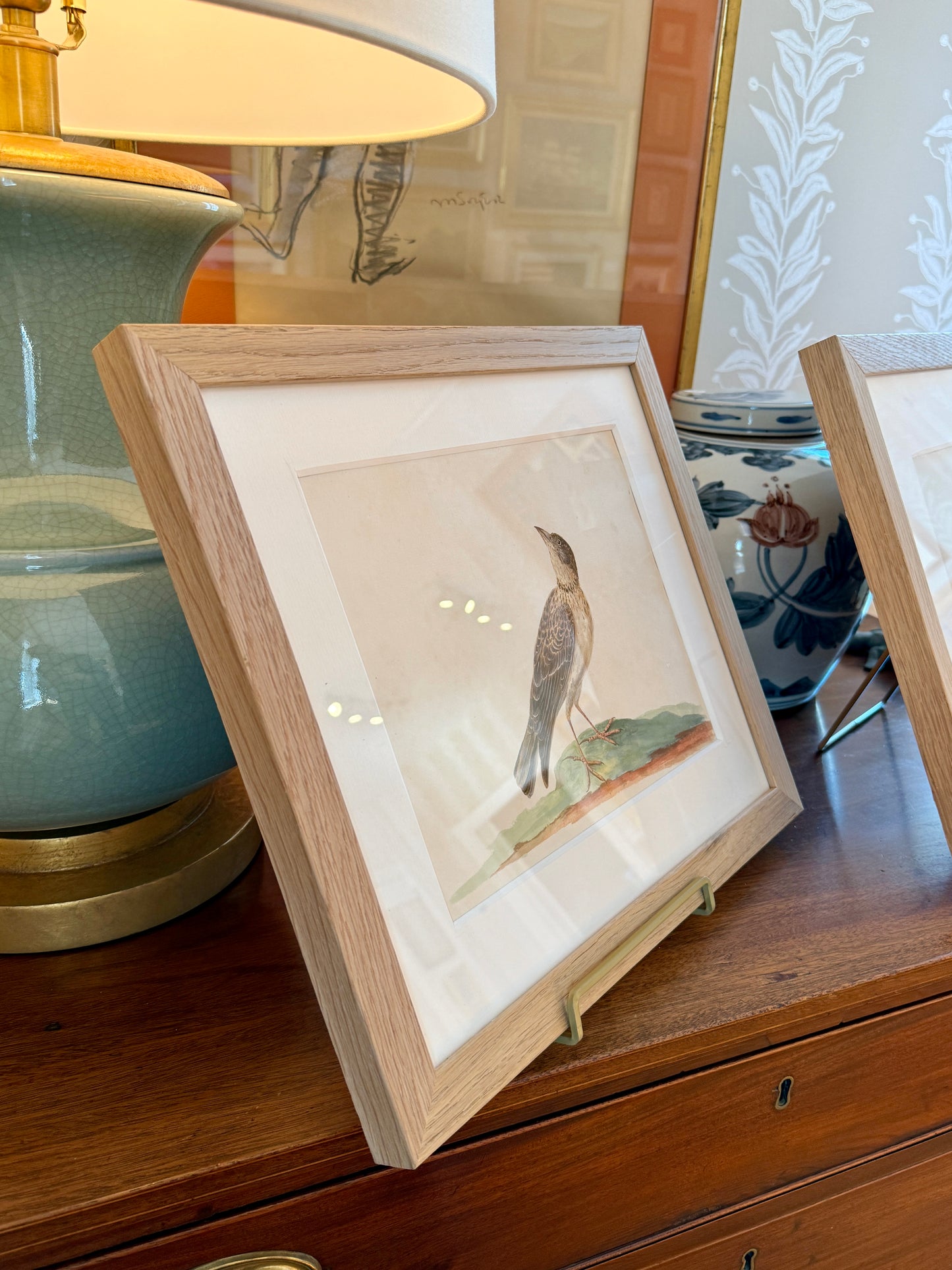 19th Century Brown Thrasher Watercolor Bird Portrait in Natural Wood Frame