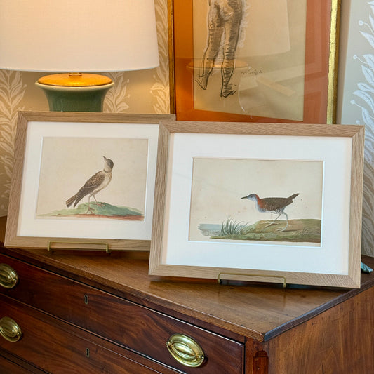 19th Century Shore Bird Watercolor Bird Portrait in Natural Wood Frame