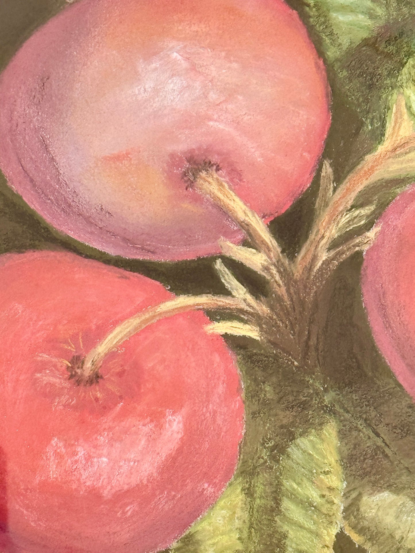 Vintage Pastel of Garden Red Radishes in Limed Wood Frame