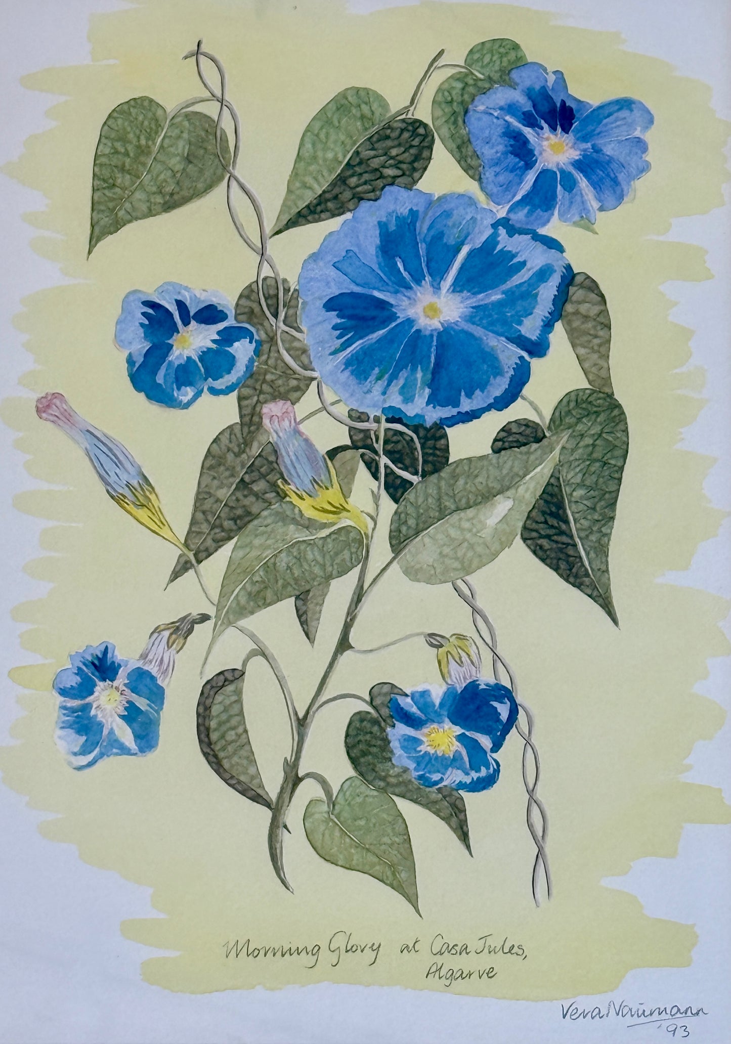 Vera Neumann Morning Glory at Casa Jules Botanical Watercolor Painting in Wood and Gilded Frame