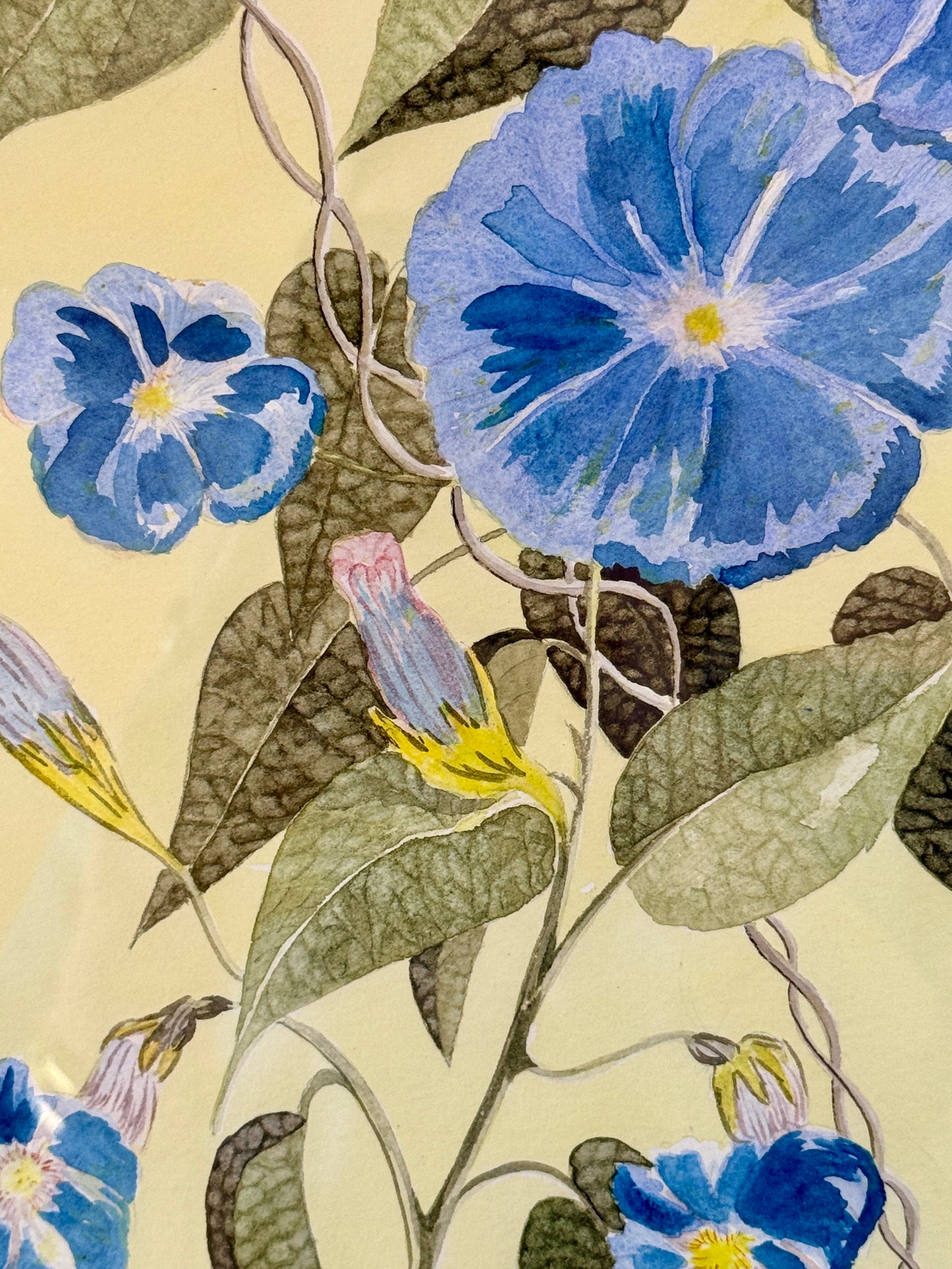 Vera Neumann Morning Glory at Casa Jules Botanical Watercolor Painting in Wood and Gilded Frame
