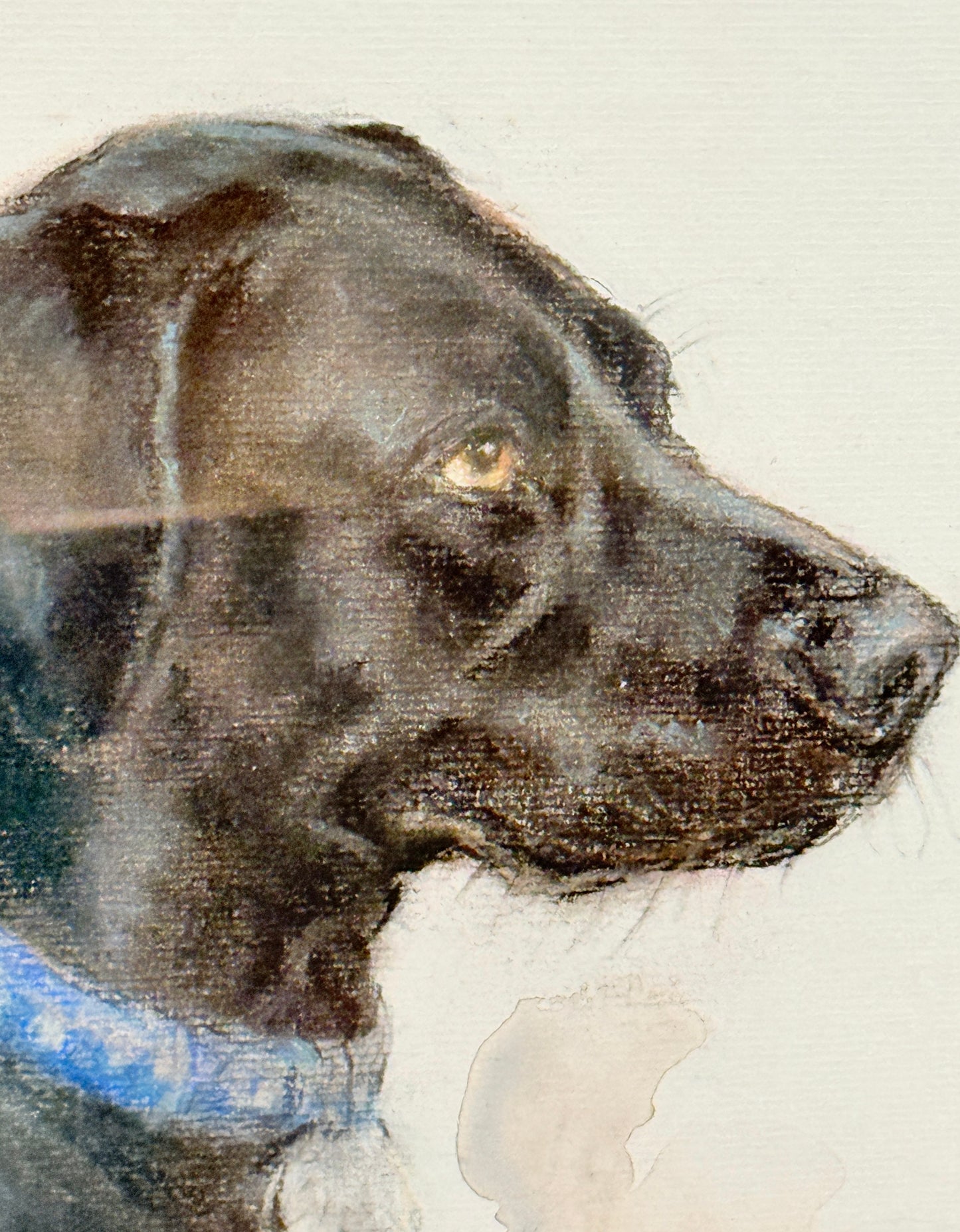 Black "Lab" Labrador Retriever Pastel Dog Portrait Painting in Gold Frame