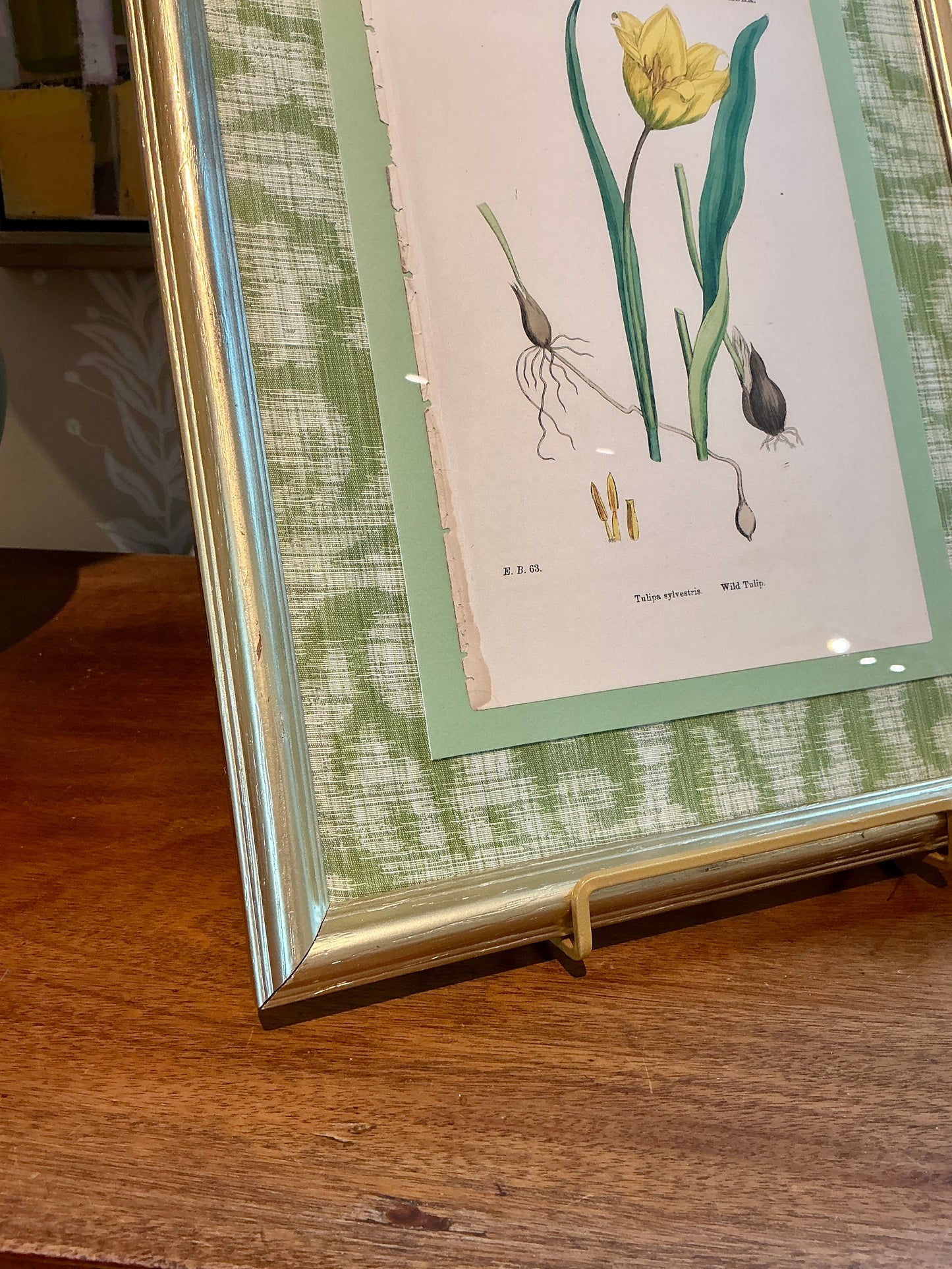 19th Century Yellow Wild Tulip Lithograph on Highland Court Fabric in Gold Frame