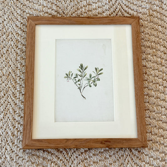 Late 19th Century Botanical Floral Watercolor Painting in Wood Frame