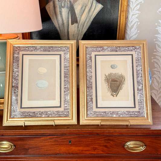 Pair of 19th Century Hand Colored Egg Lithographs on Brown Faux Bois in Vintage Gold Frames