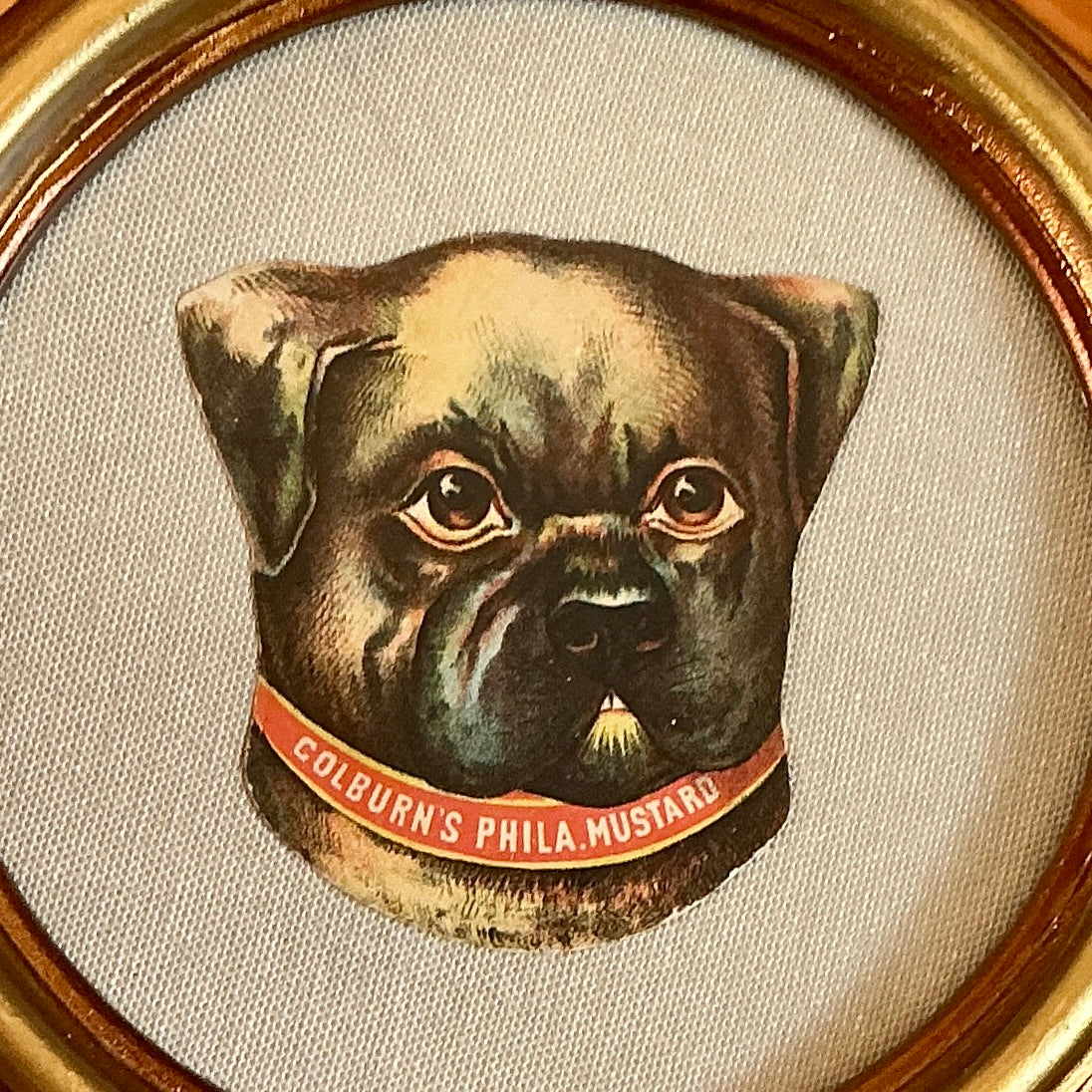 Vintage Colburns Philadelphia Mustard Dog Trading Card on Taupe Twill in Gold Round Frame