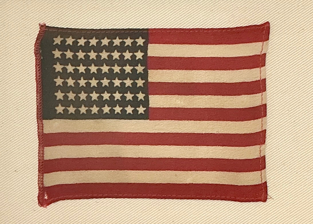 Vintage 48 Star American Flag on Sail Cloth in Gold Frame
