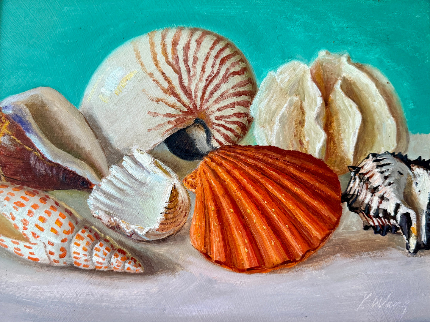 Sheashell Collection on Green Blue Realist Still Life Oil Painting in Gold Frame
