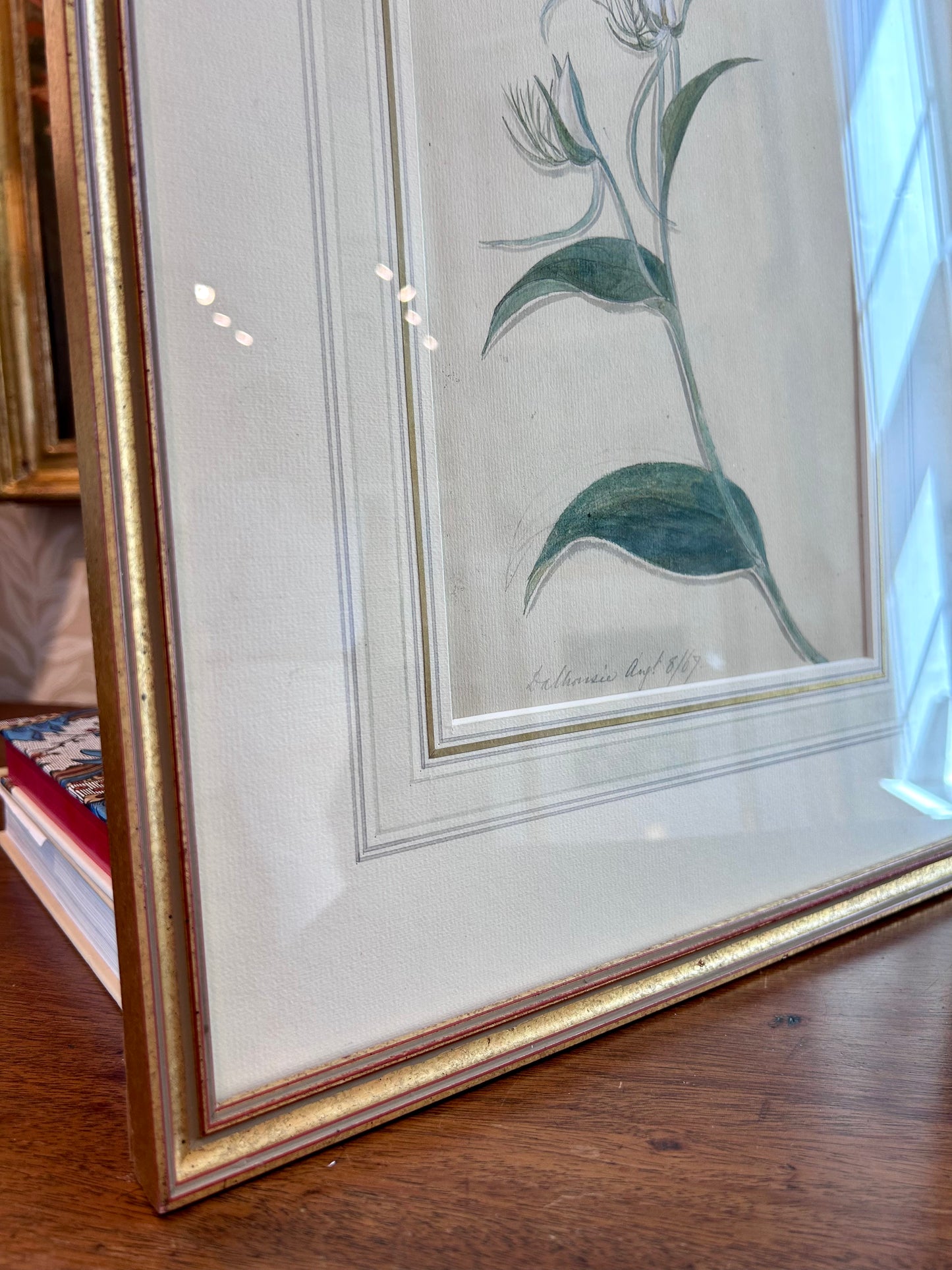 19th Century 1869 Dalhousie Botanical Study Watercolor Painting in Gold Frame