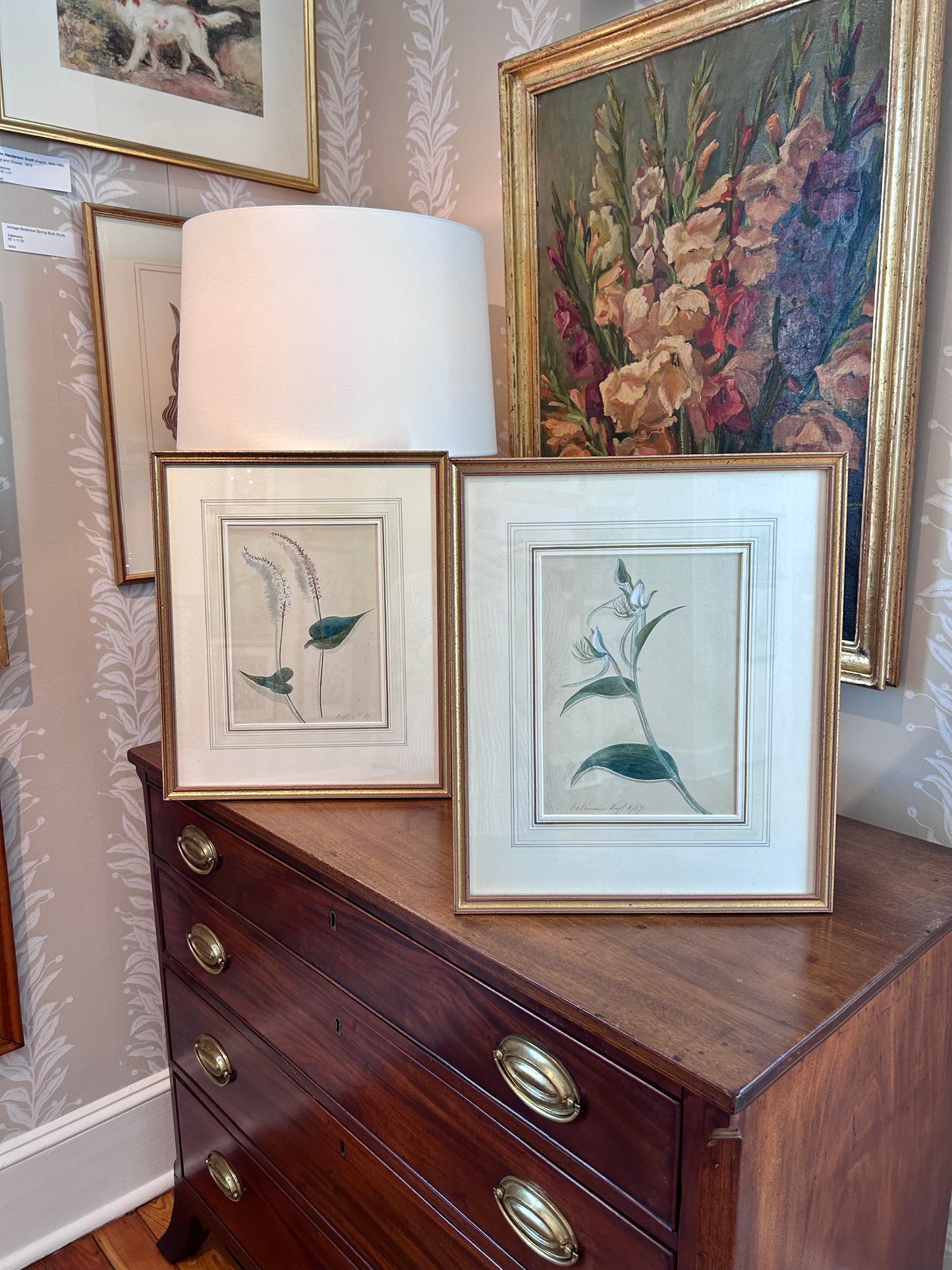 19th Century 1869 Dalhousie Botanical Study Watercolor Painting in Gold Frame