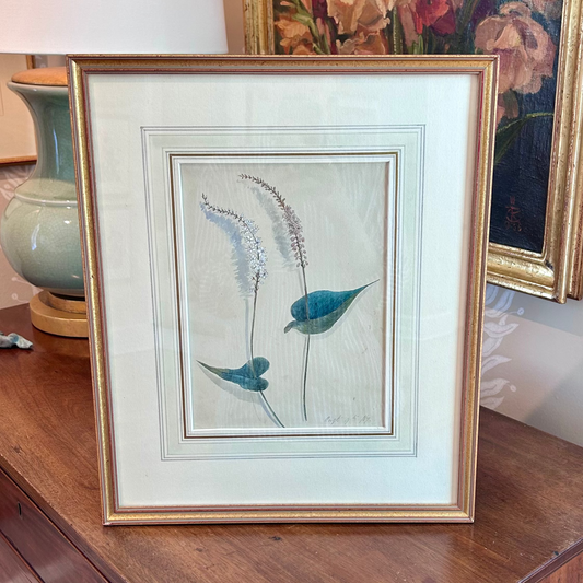 19th Century 1867 Chamaelirium Botanical Study Watercolor Painting in Gold Frame