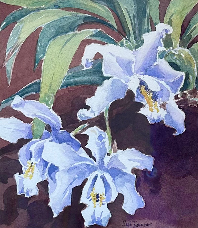 Susan Bourne Botanical Orchids II Watercolor Painting In Gold Frame