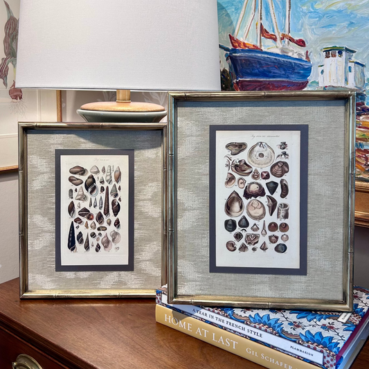 Pair of 19th Century Seashell Lithographs on Taupe Neutral Designer Fabric in Gold Frame