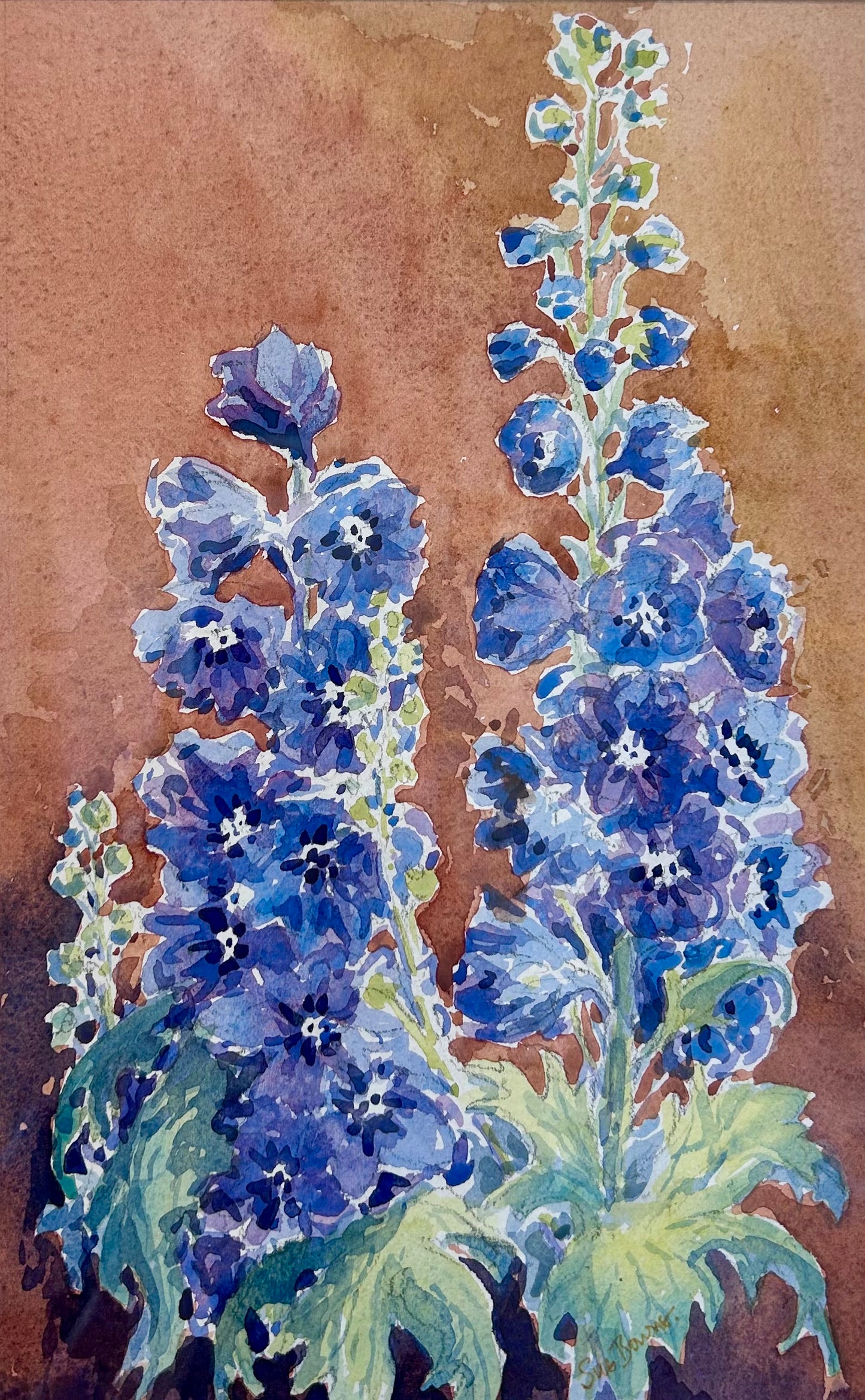 Susan Bourne Botanical Delphinium Watercolor Painting In Gold Frame