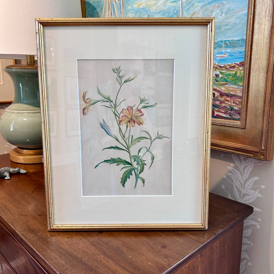 Madame F.C. Byrne 19th Century Wildflower Watercolor Painting in Gold Frame
