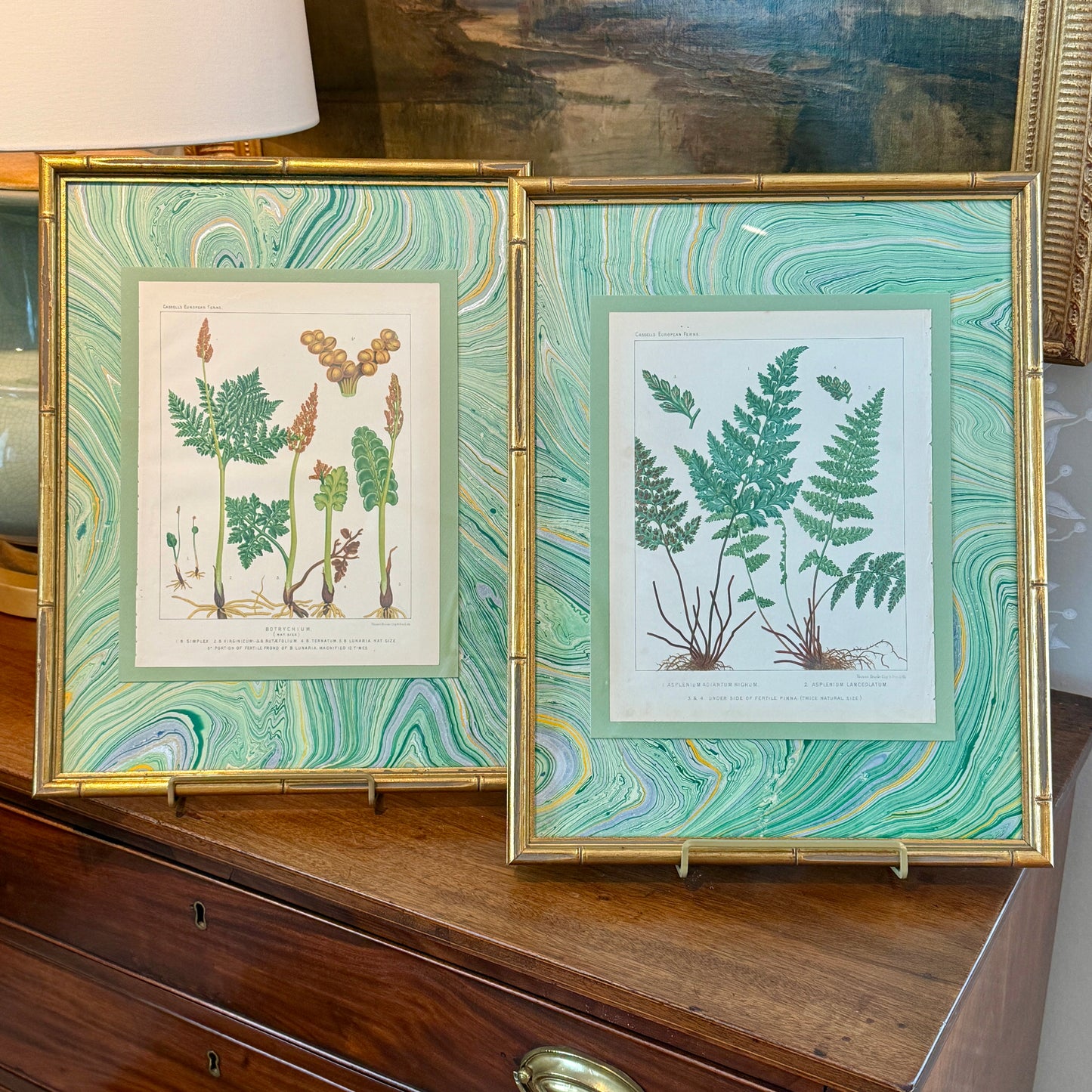 Pair of 19th Century Botanicals on Green Hand Marbled Mount in Gold Bamboo Frames