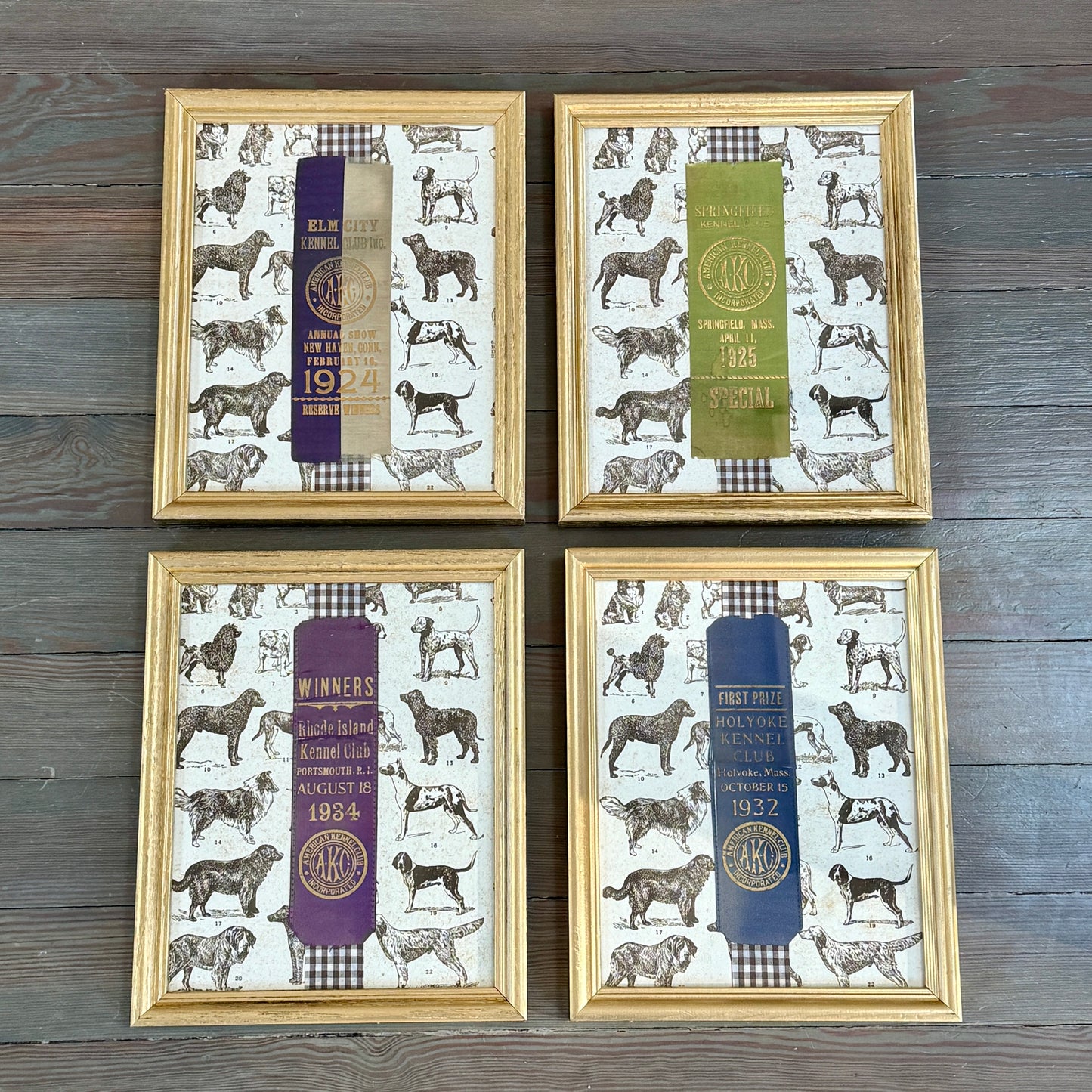 Set of Four Early 20th Century American Kennel Club Dog Show Ribbons on Brown Gingham in Gold Frames