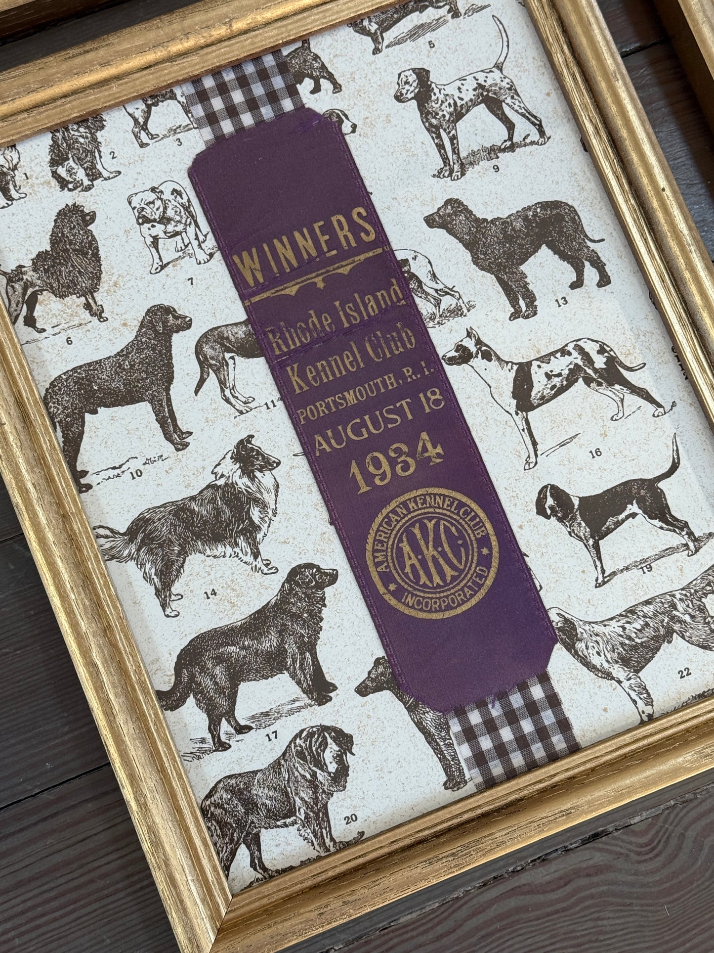 Set of Four Early 20th Century American Kennel Club Dog Show Ribbons on Brown Gingham in Gold Frames