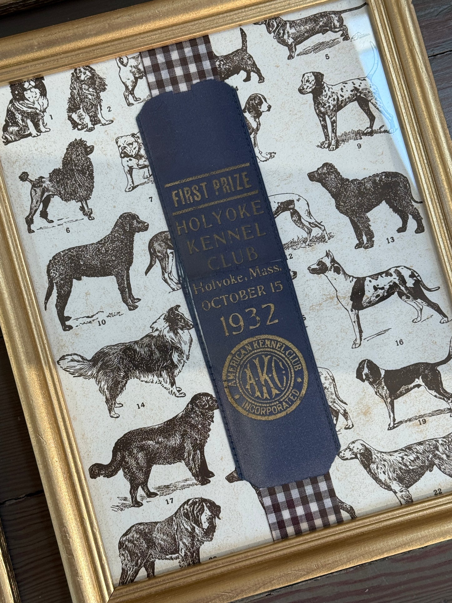 Set of Four Early 20th Century American Kennel Club Dog Show Ribbons on Brown Gingham in Gold Frames