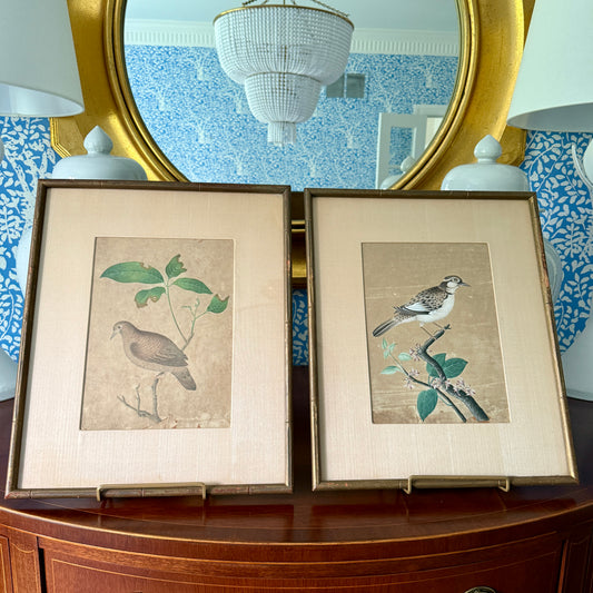 Pair of Antique Chinese Watercolor Painting Bird Portraits in Gilded Bamboo Frames