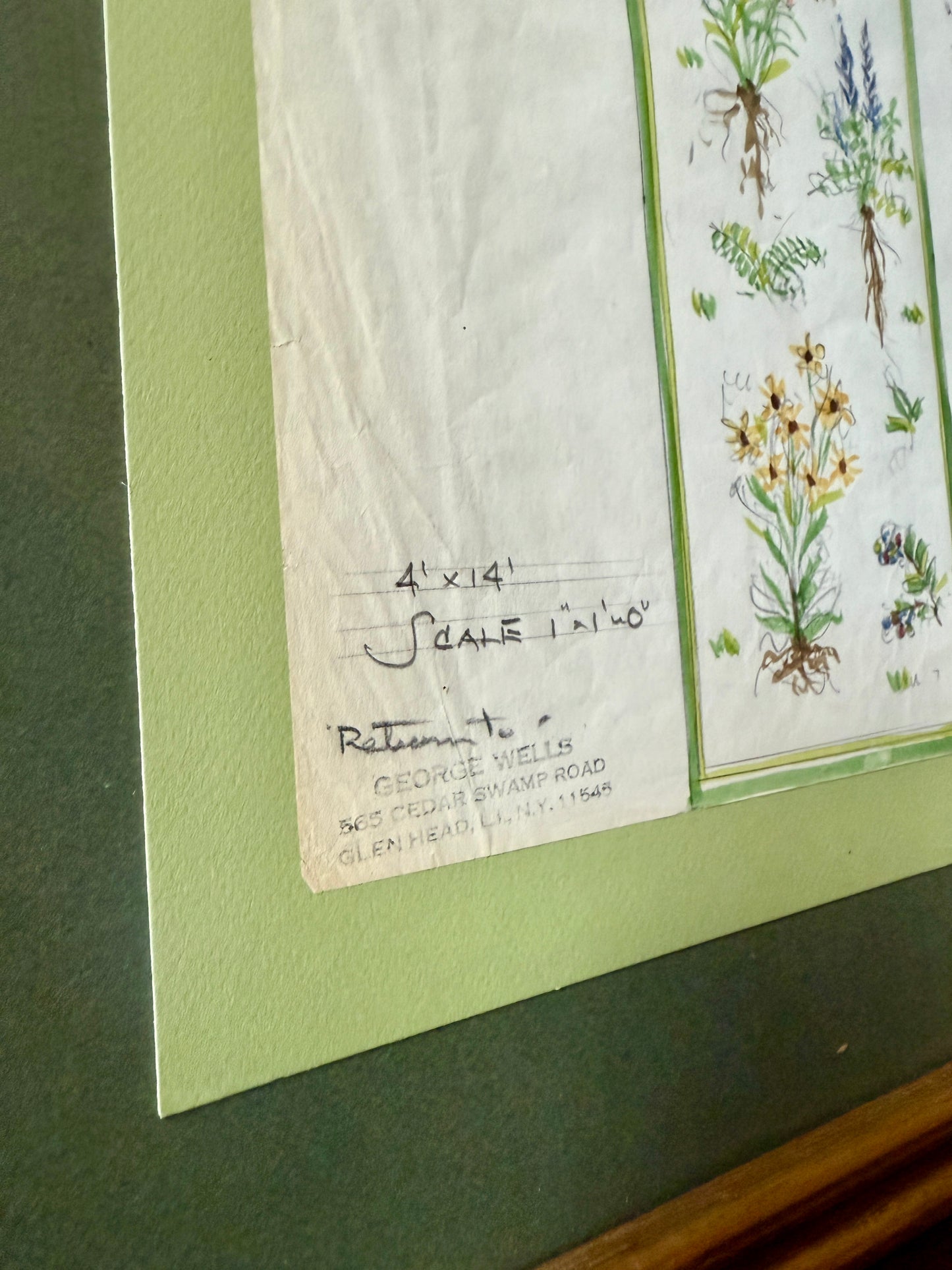 George Wells Maine Botanicals Seal Harbor Rug Design for Polly Jessup Watercolor Sketch in Gold Frame