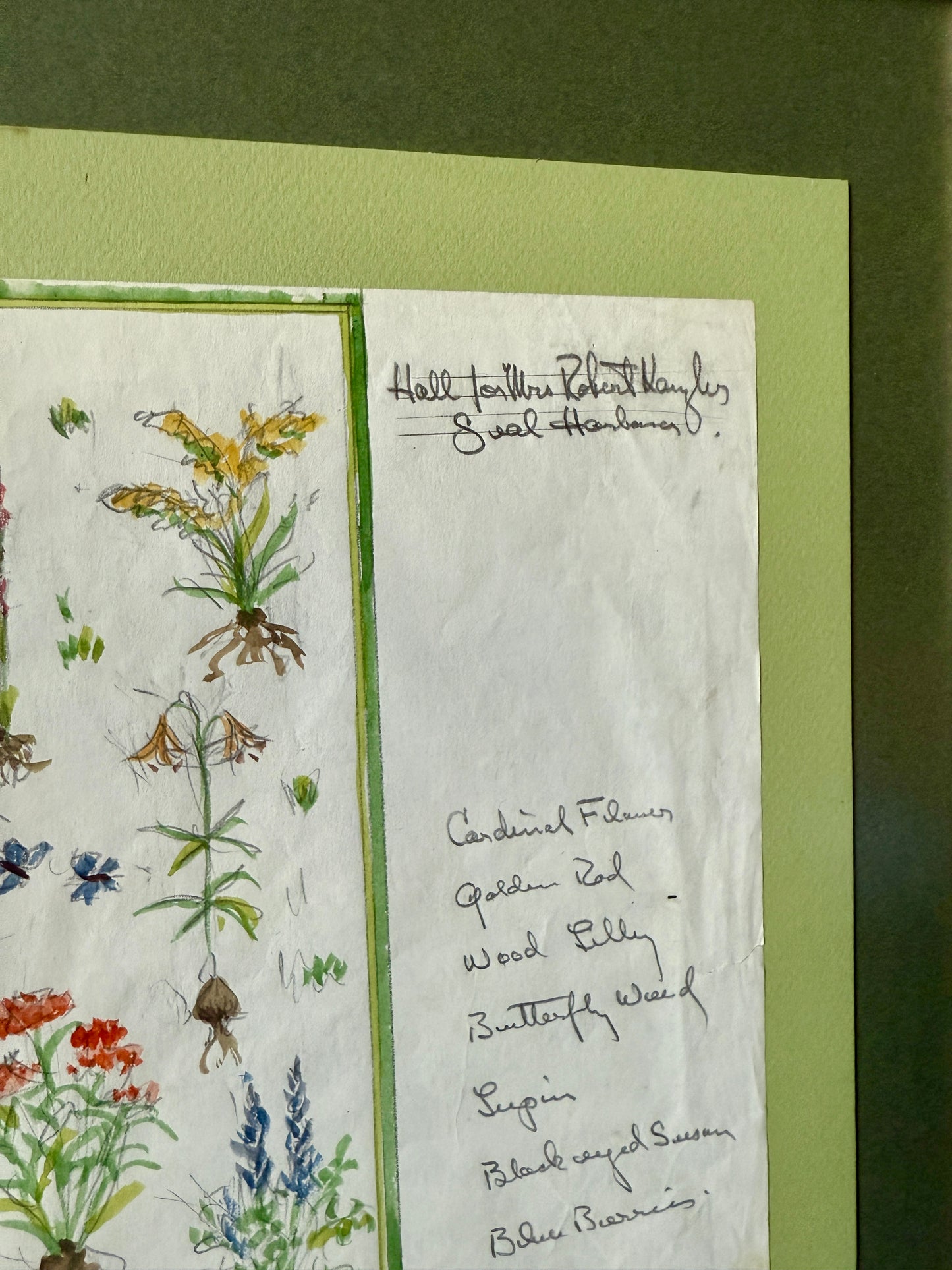 George Wells Maine Botanicals Seal Harbor Rug Design for Polly Jessup Watercolor Sketch in Gold Frame