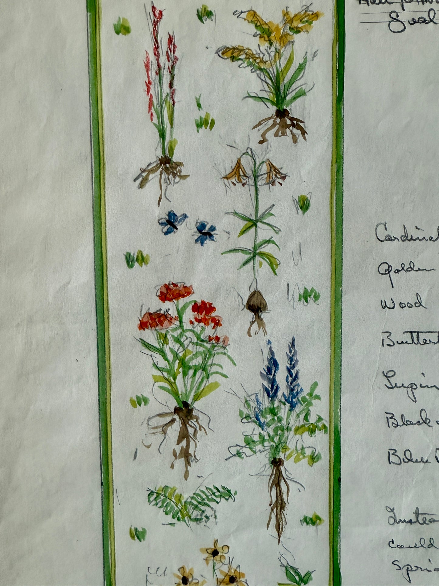 George Wells Maine Botanicals Seal Harbor Rug Design for Polly Jessup Watercolor Sketch in Gold Frame