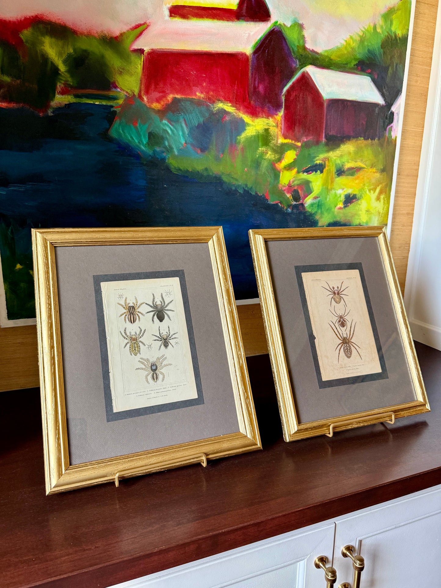 Pair of 19th Century of Hand Colored Spider Lithographs in Gold Frames