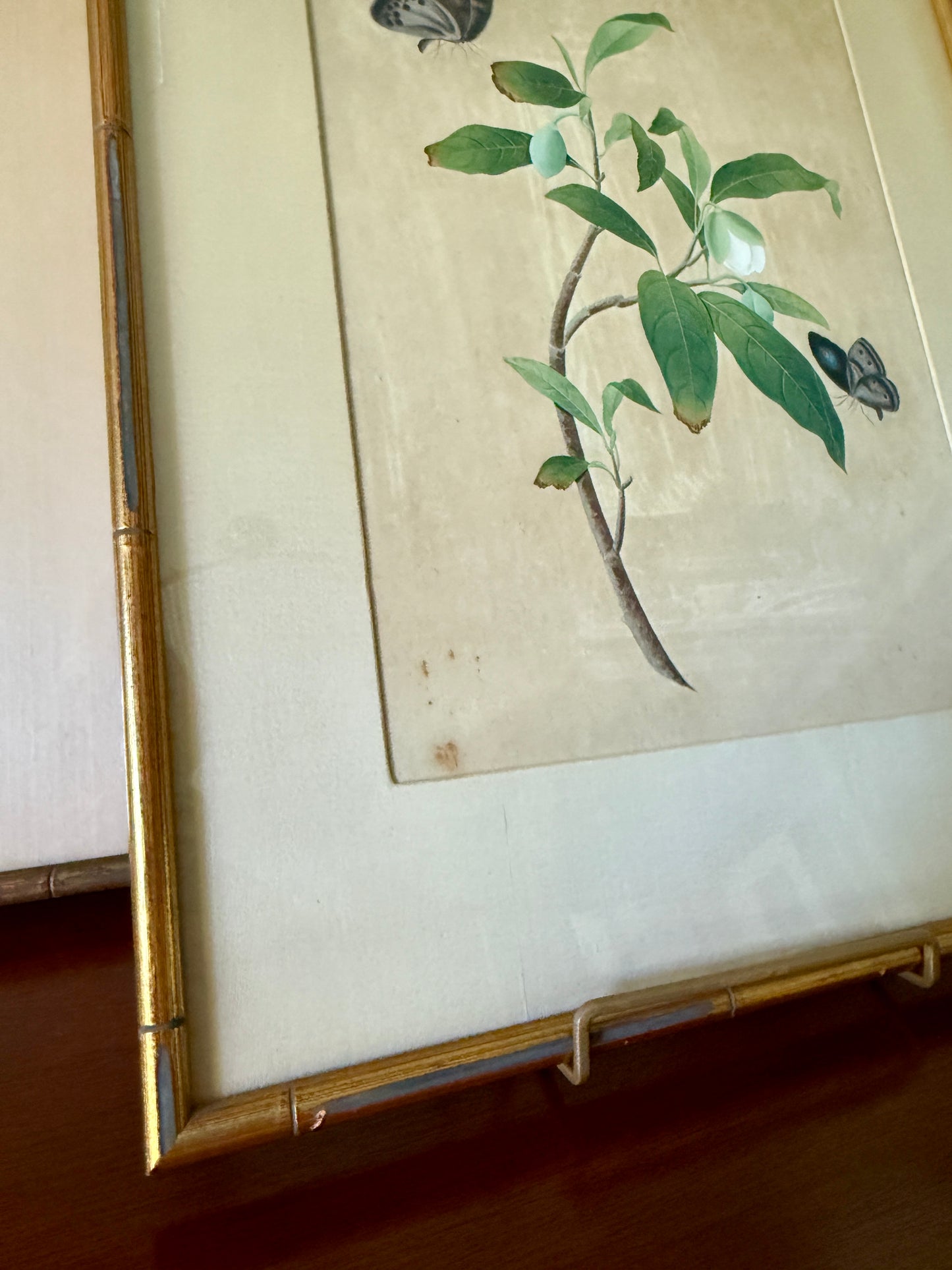 Antique Chinese Watercolor Botanical Painting in Gilded Bamboo Frame