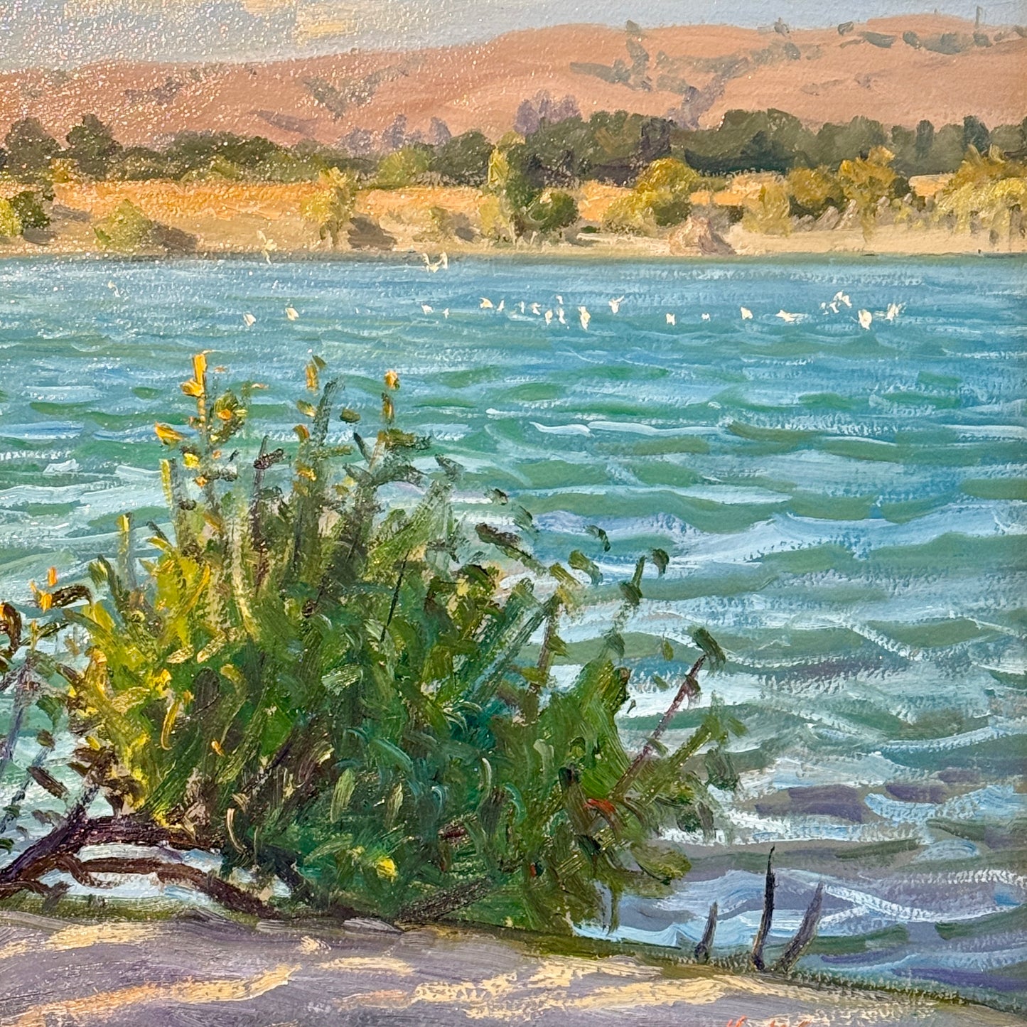 Youqing Wang Afternoon Breeze California Waterside Landscape Oil Painting in Gold Frame