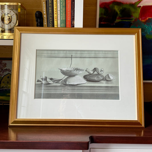 Judith Goldsmith Realist Mantelpiece I Still Life Graphite Drawing Seashells and Beach Stones in Gold Frame
