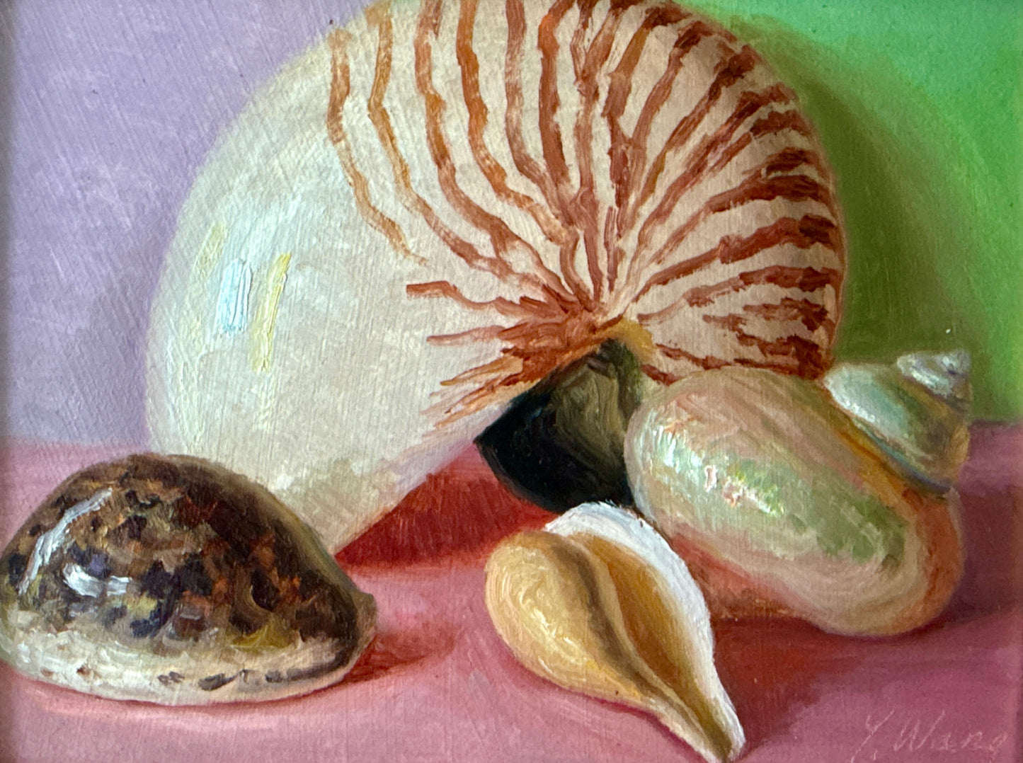 Seashell Collection on Pink Realist Still Life Oil Painting in Gold Frame