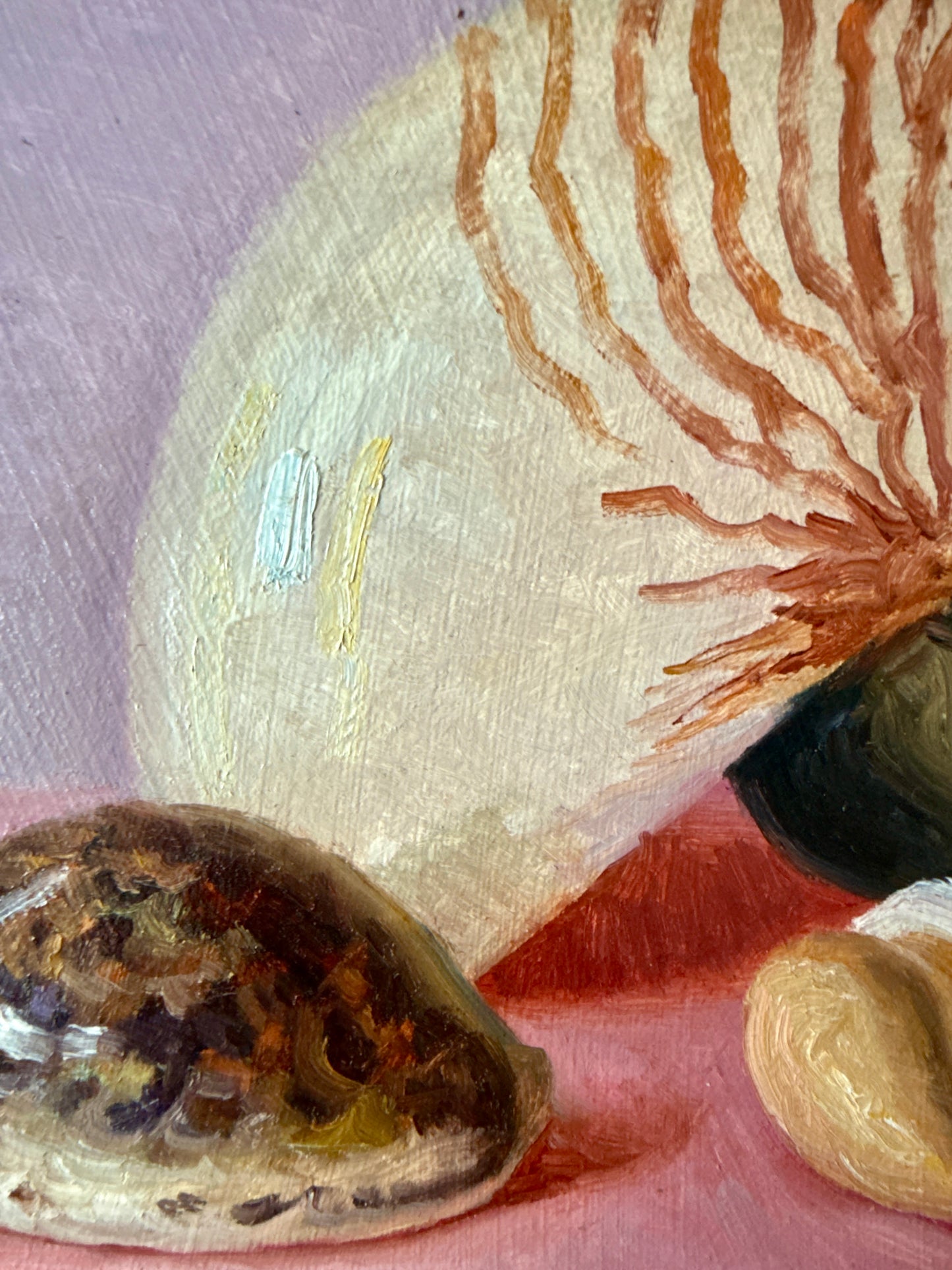 Seashell Collection on Pink Realist Still Life Oil Painting in Gold Frame