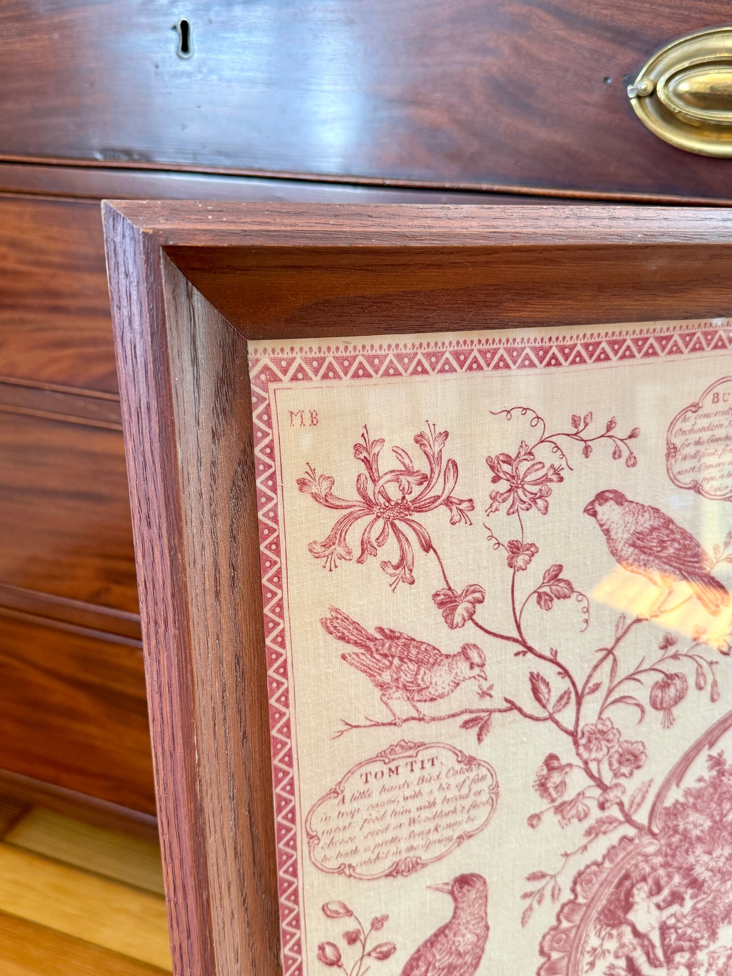 19th Century The Aviary Bird Fancier's Recreation Engraving on Linen in Wood Frame