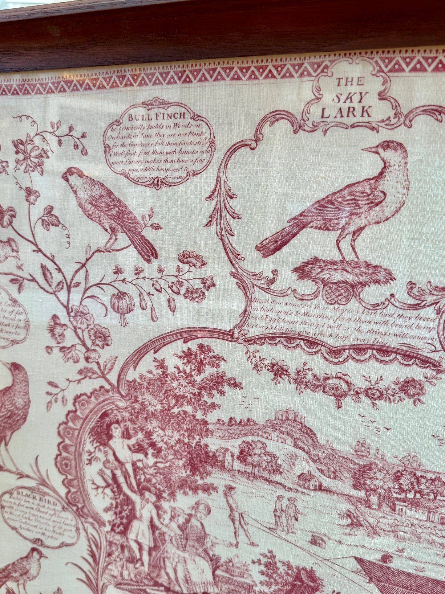 19th Century The Aviary Bird Fancier's Recreation Engraving on Linen in Wood Frame
