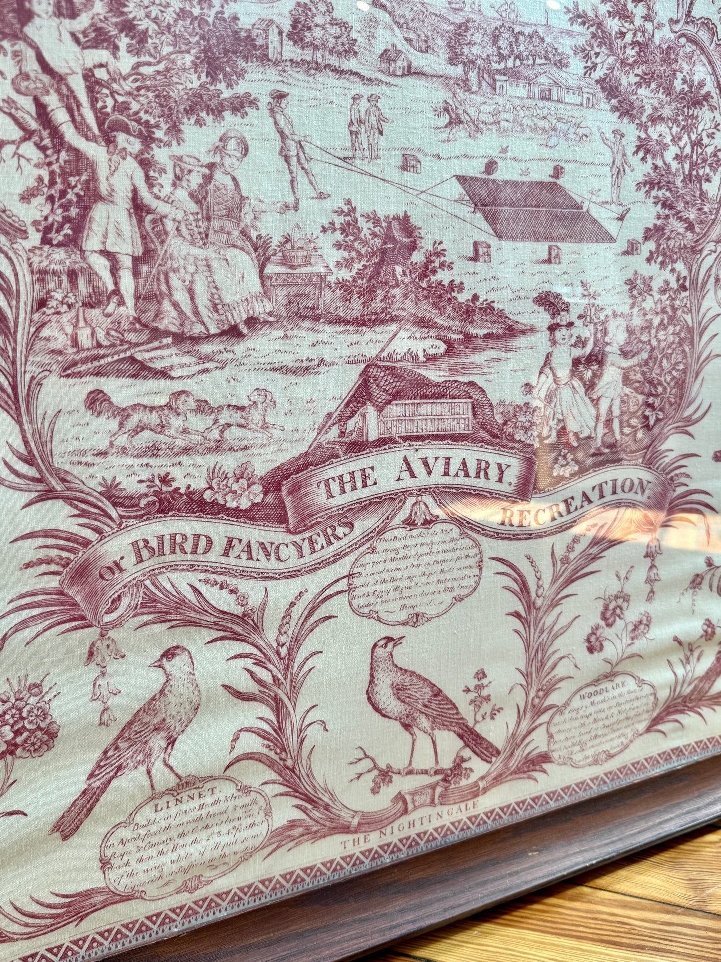 19th Century The Aviary Bird Fancier's Recreation Engraving on Linen in Wood Frame