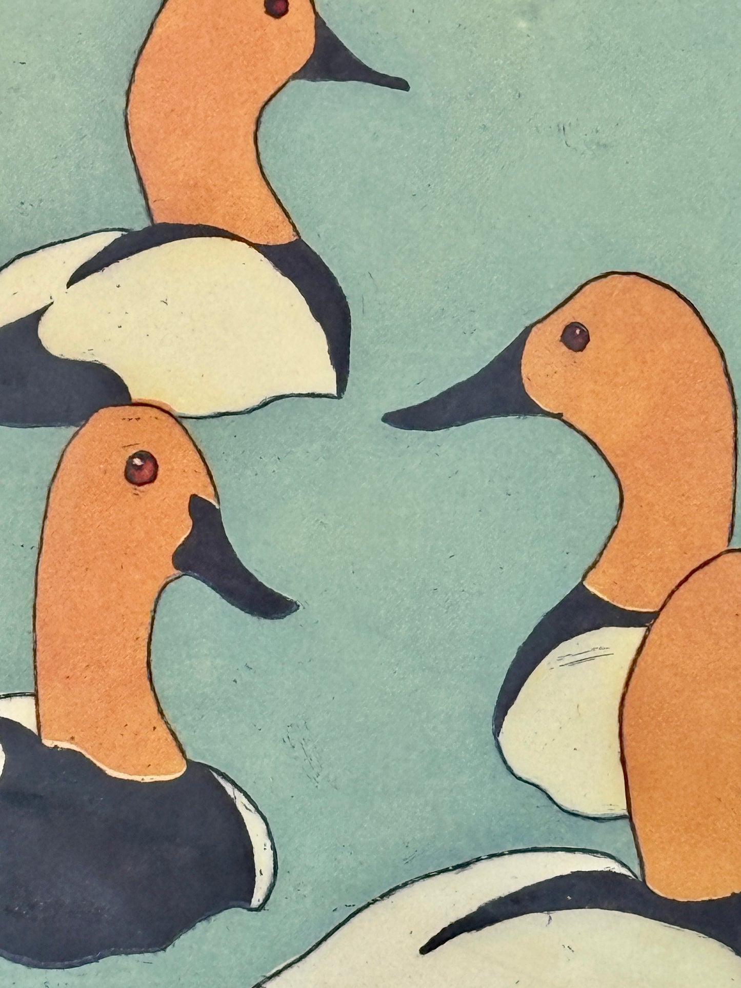 Neil Rizos Canvasback Duck Etching in Black Frame