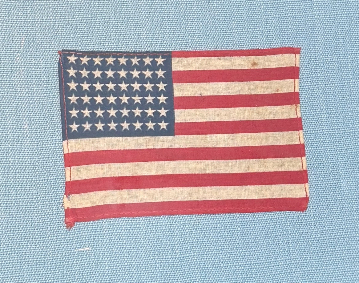 48 Star American Flag on Light Blue Twill in 19th Century Adirondack Twig Frame