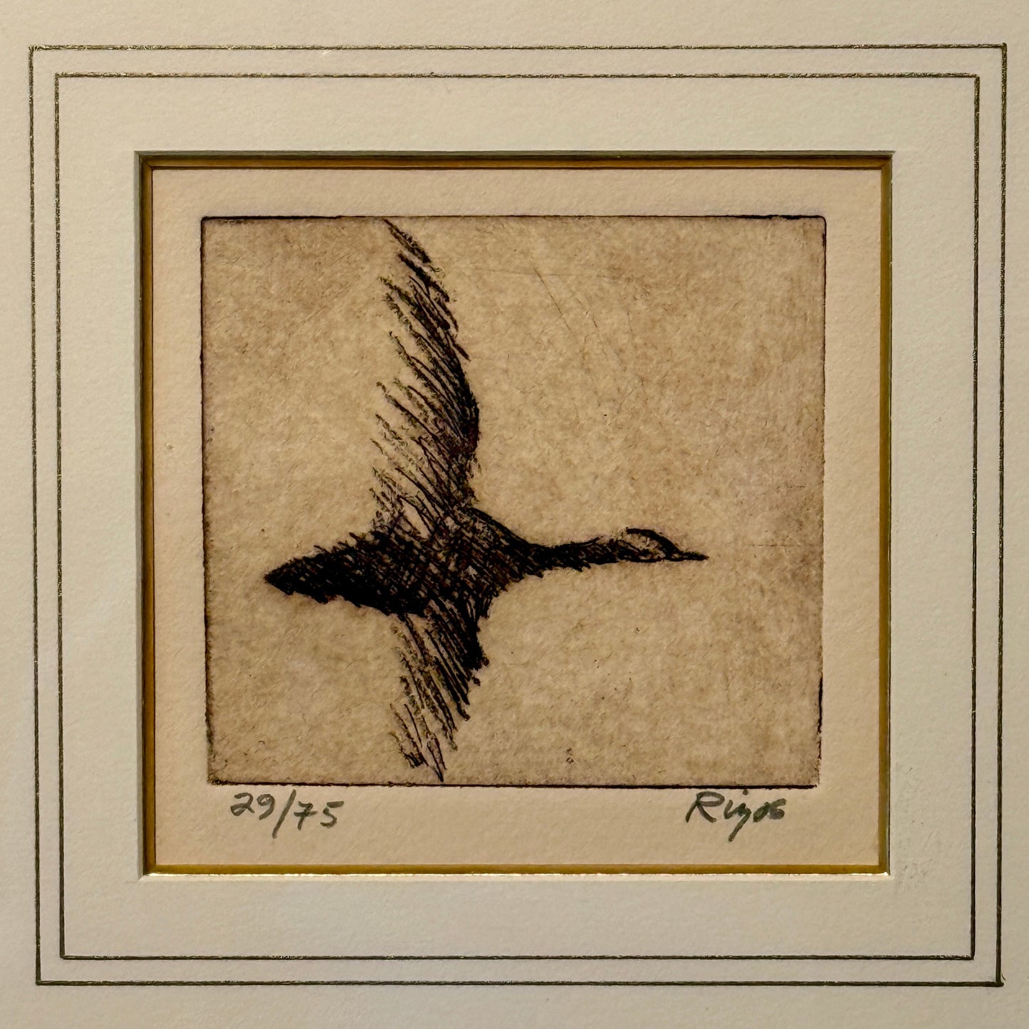 Neil Rizos Goose in Flight Bird Etching in Gold Frame