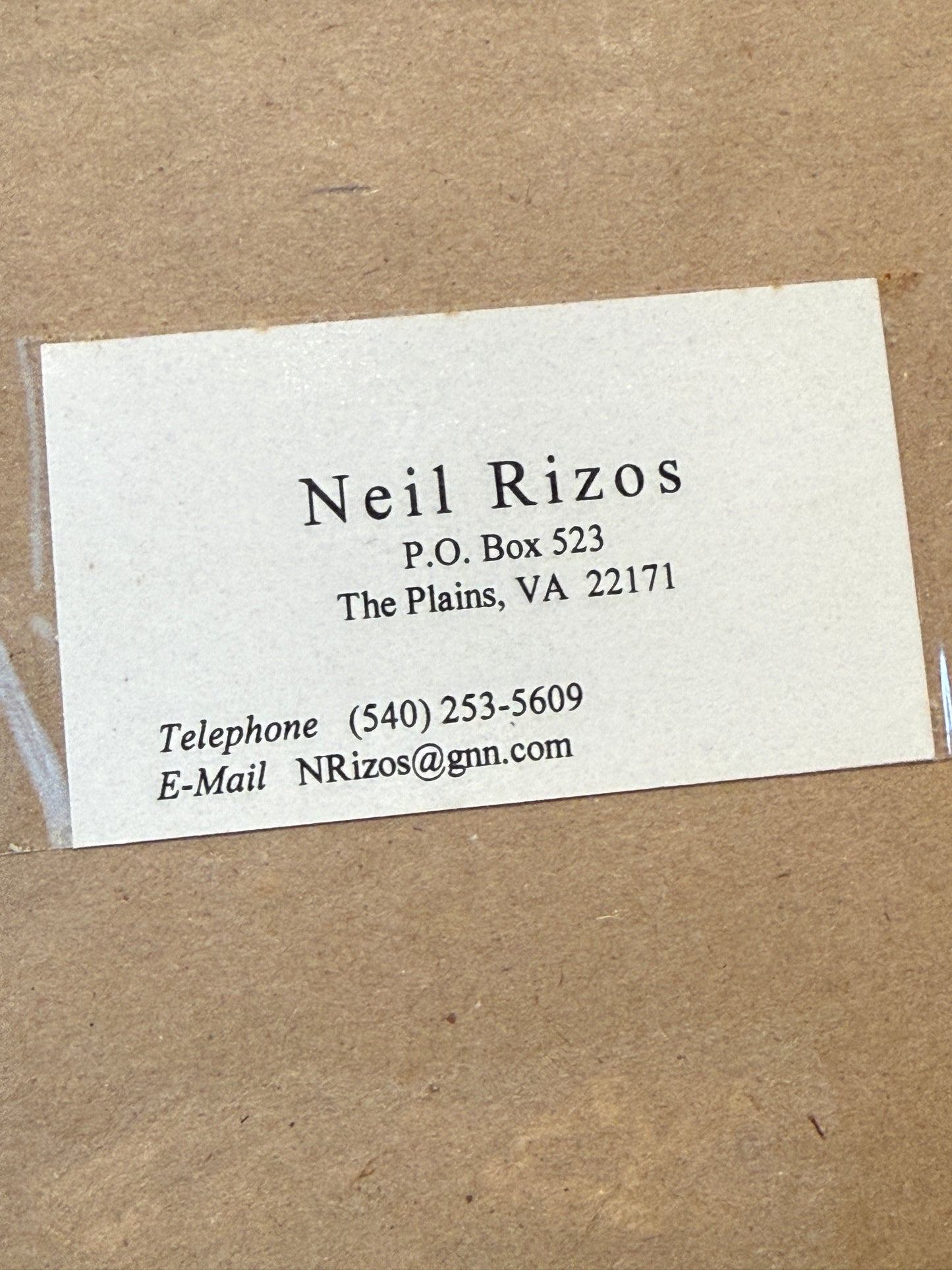 Neil Rizos Goose in Flight Bird Etching in Gold Frame