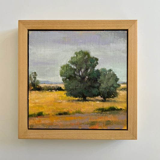 Patricia Tomes Landscape Oil Painting in Natural Wood Floater Frame