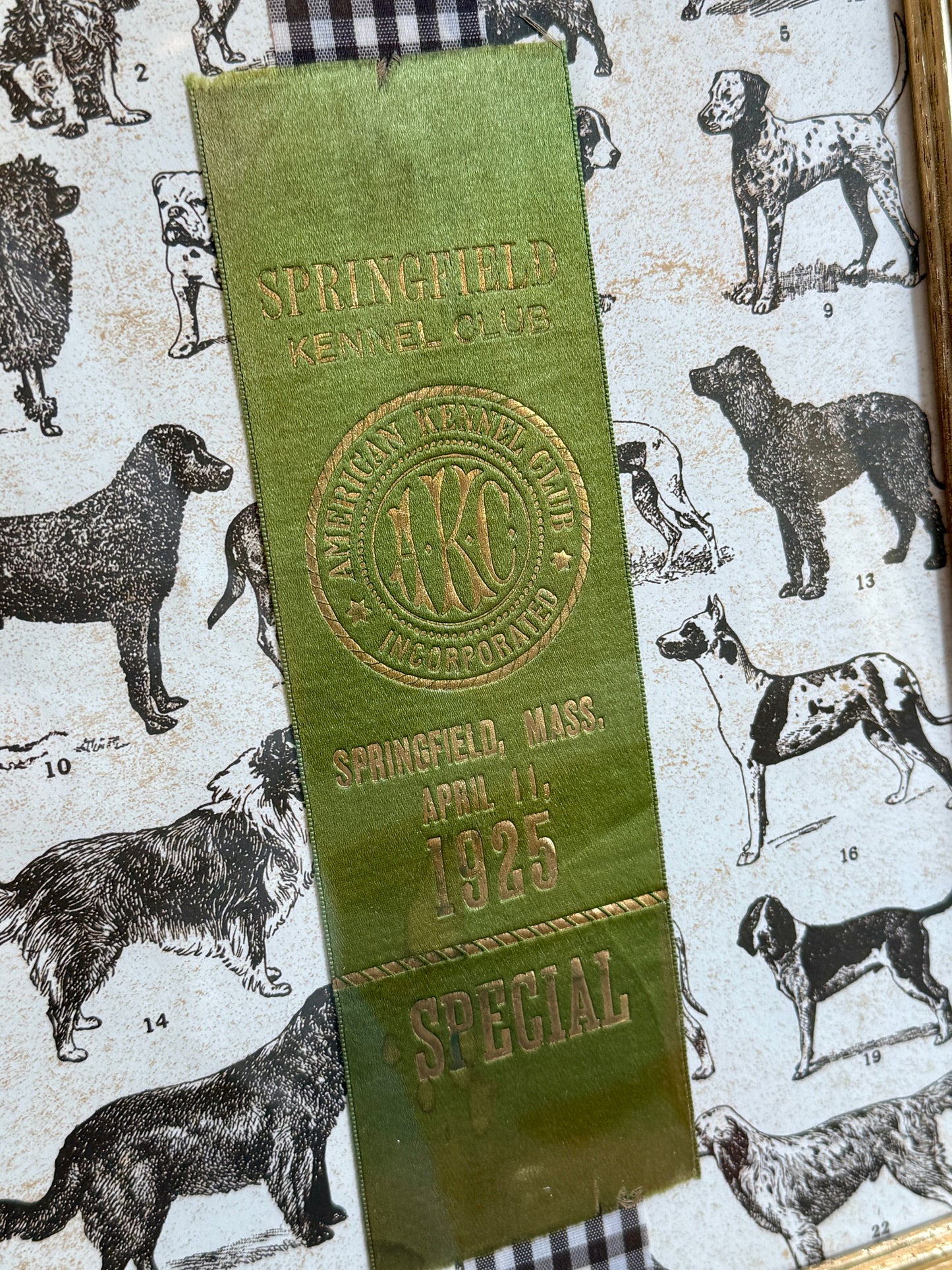 1925 American Kennel Club Dog Show Green Ribbon on Brown Gingham in Gold Frame