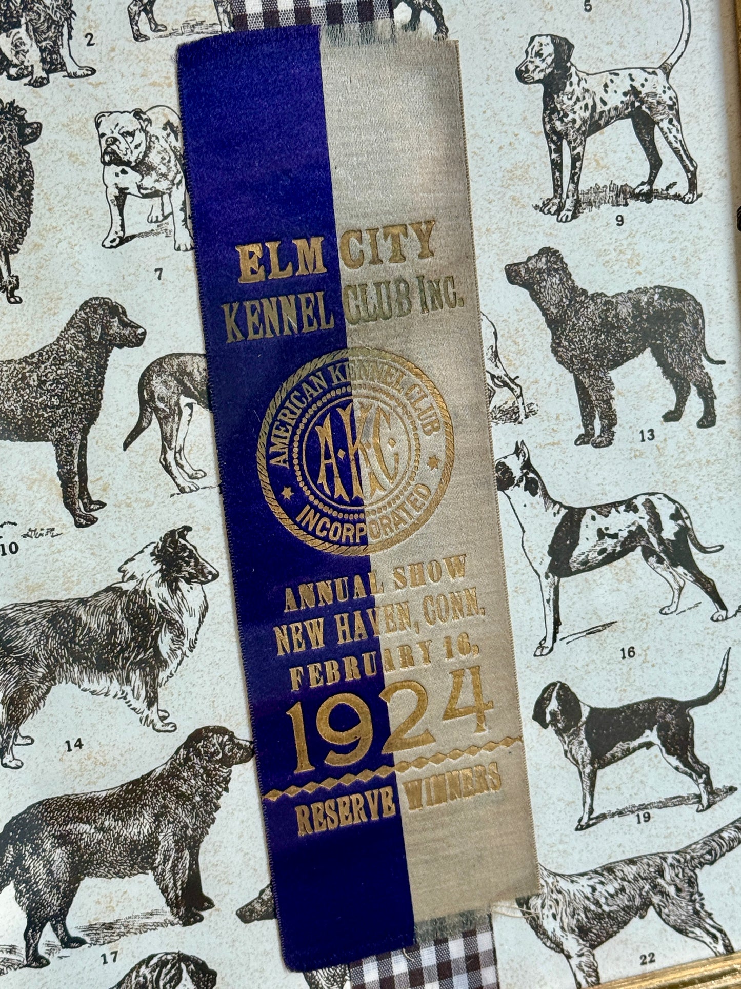 1924 American Kennel Club Dog Show Purple Ribbon on Brown Gingham in Gold Frame