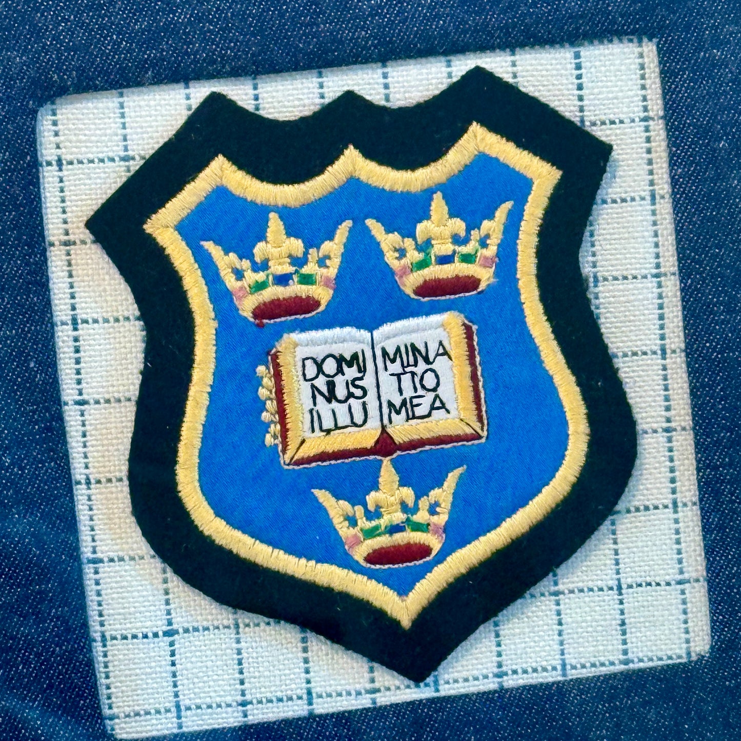 Vintage Oxfxord University Crest on Dark Chambray and Windowpane in Gold Frame