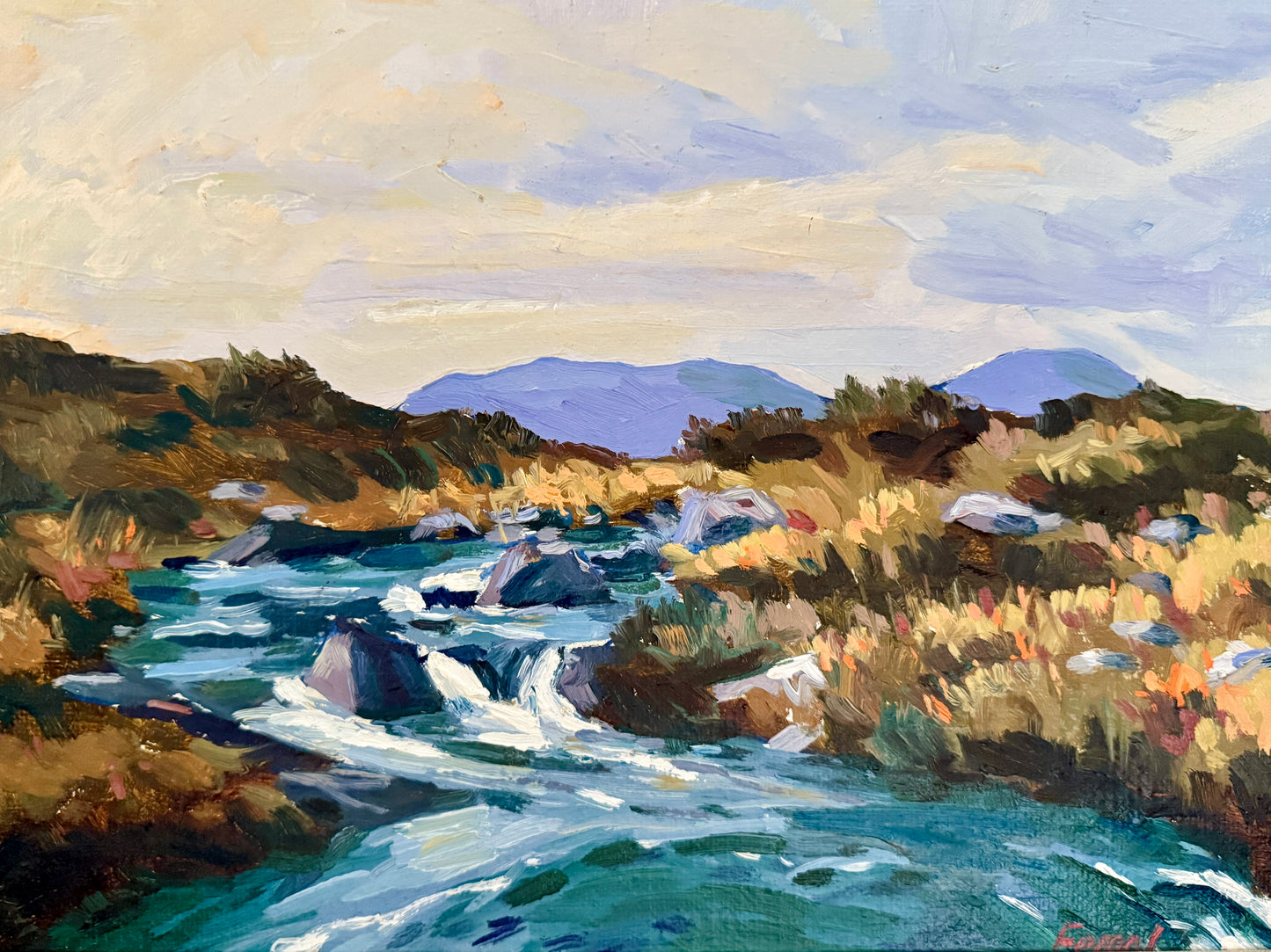 Fergal Flanagan Galway Ireland Landscape Oil Painting in Gold Frame